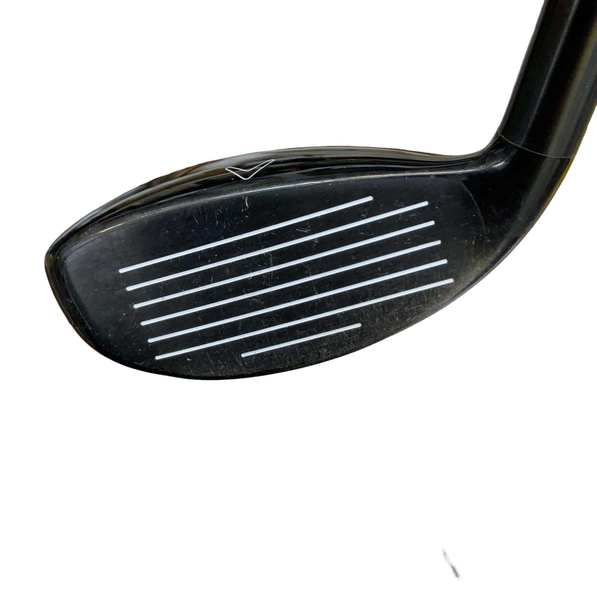 �w�Q�@�g�n�s�@�t�S