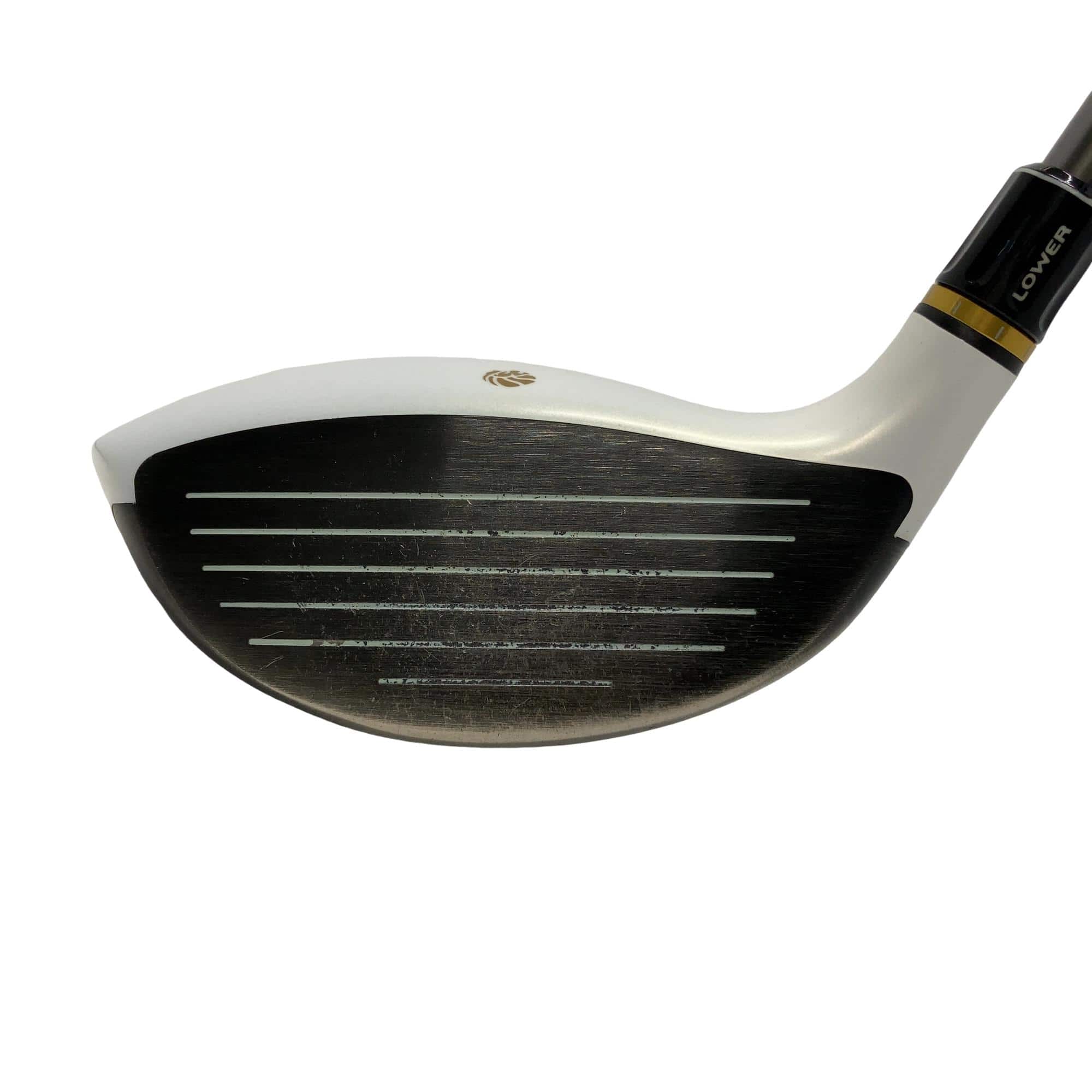 �f�k�n�h�q�d�@�T�v