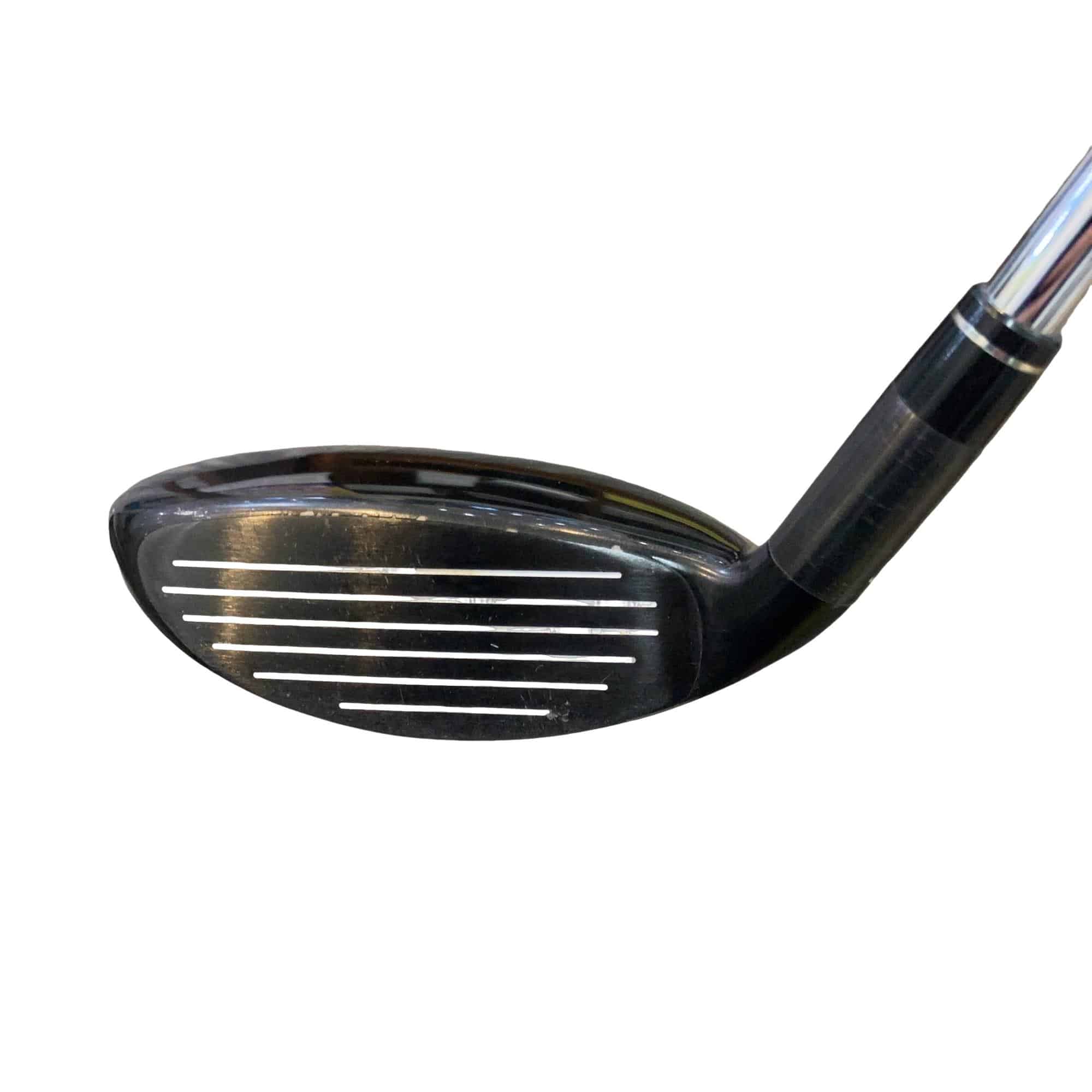 �w�@�g�n�s�@�t�S