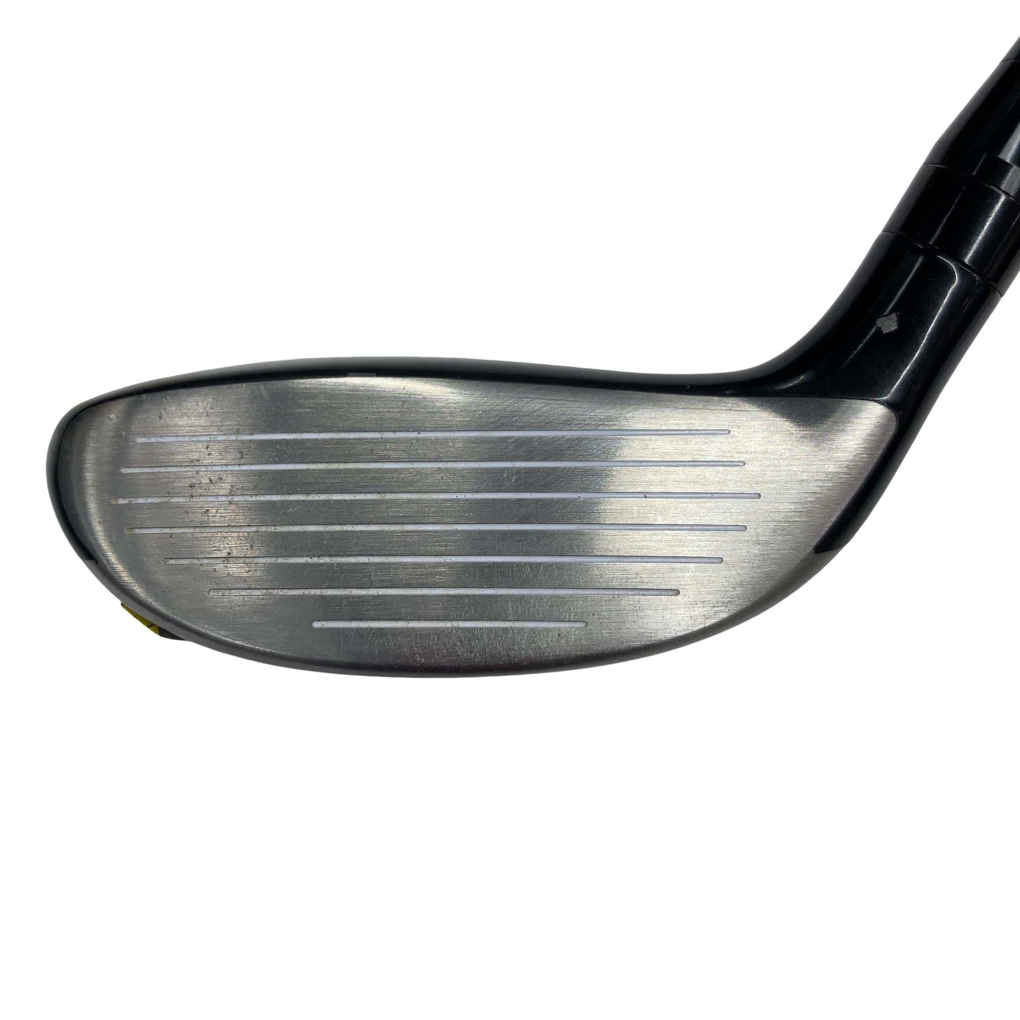 �������������@�q�l�w�@�t�S�{