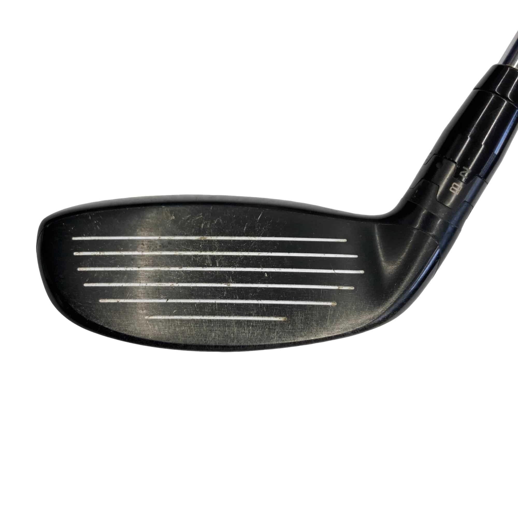 �X�P�T�@�g�@�t�R