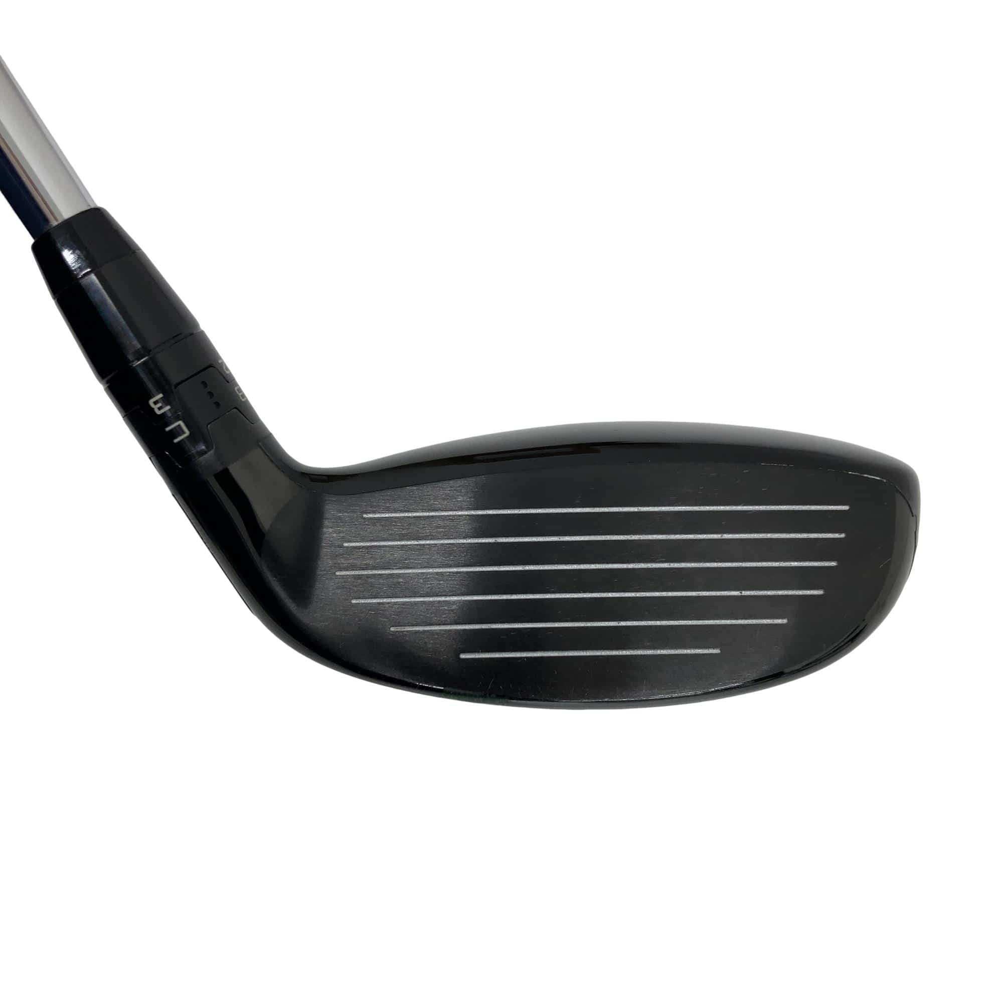 �s�r���Q�@�P�W°�@���t�e�B