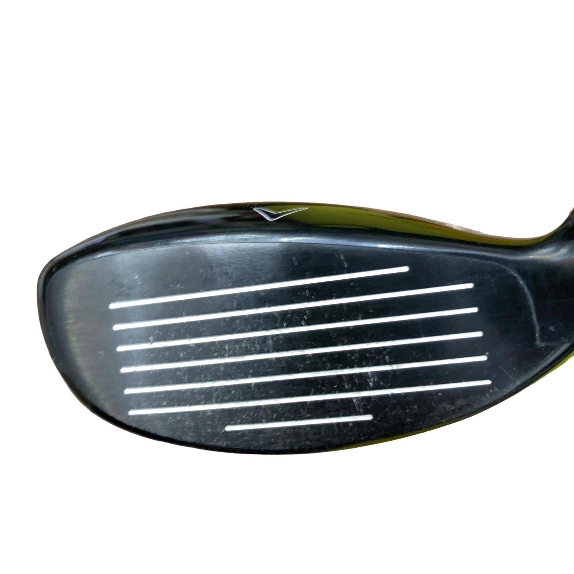 �w�Q�@�g�n�s�@�t�T