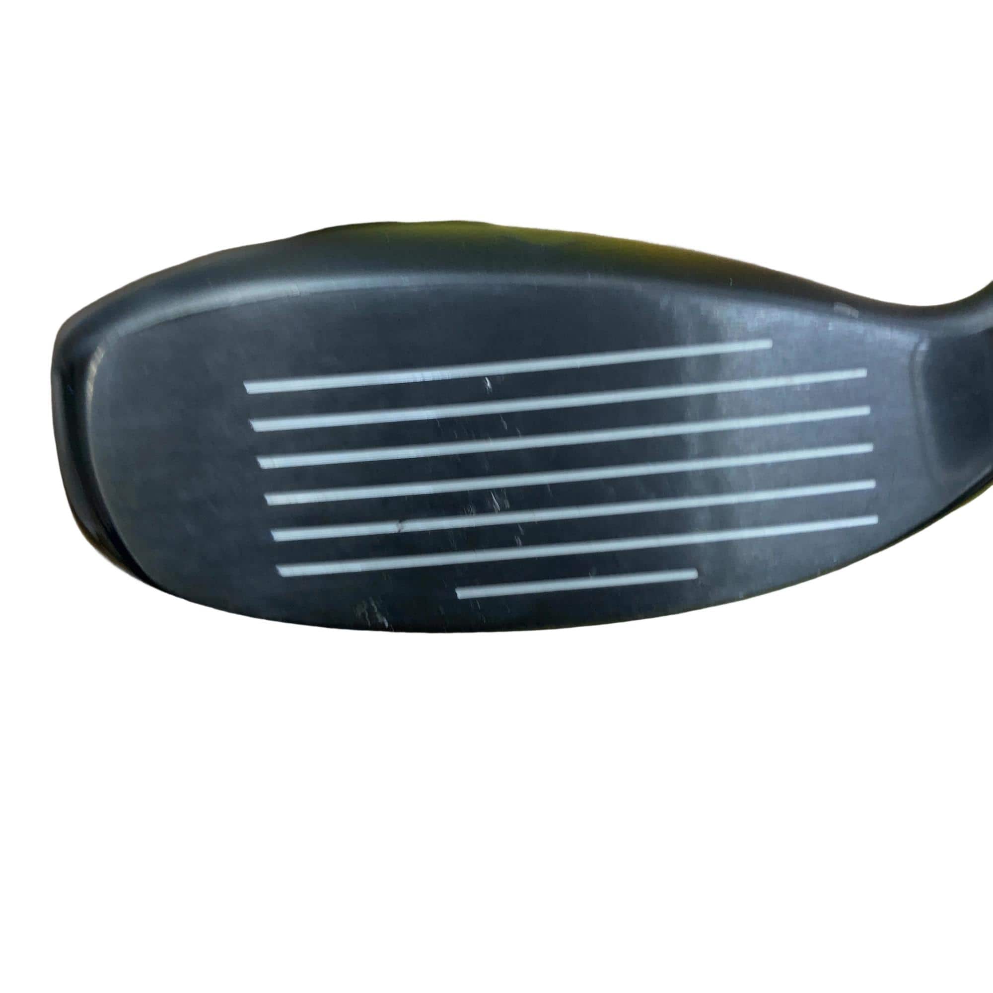 �w�q�@�P�U�@�n�r�@�t�R