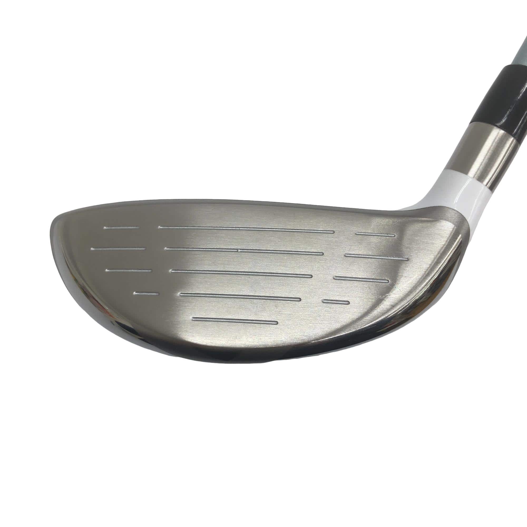 �a�q�|�w�@�T�v�@���f�B�[�X