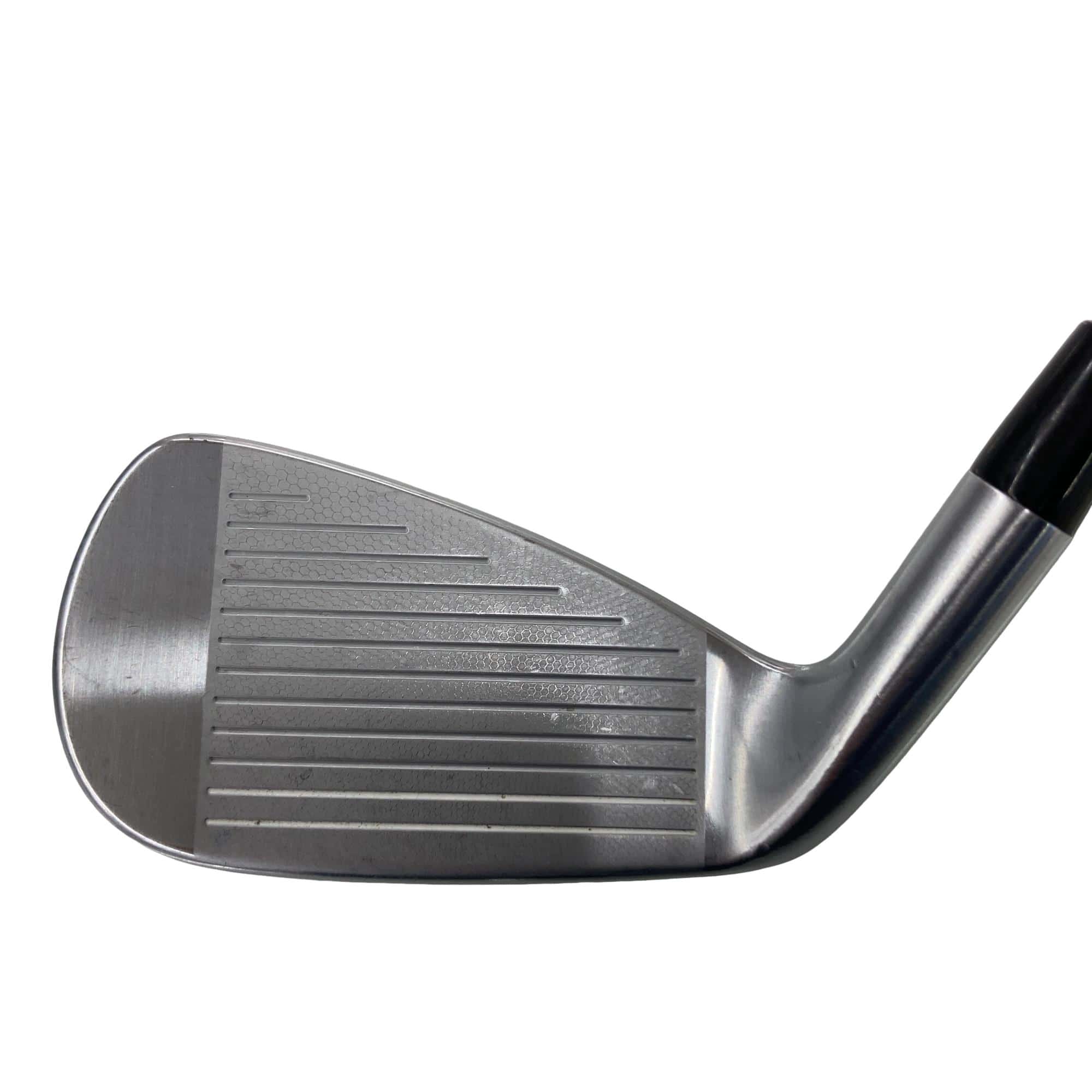 �������������@�q�l�w�@�t�c�{�Q�@�V�r�i���{���F�T�{�Z�b�g�j