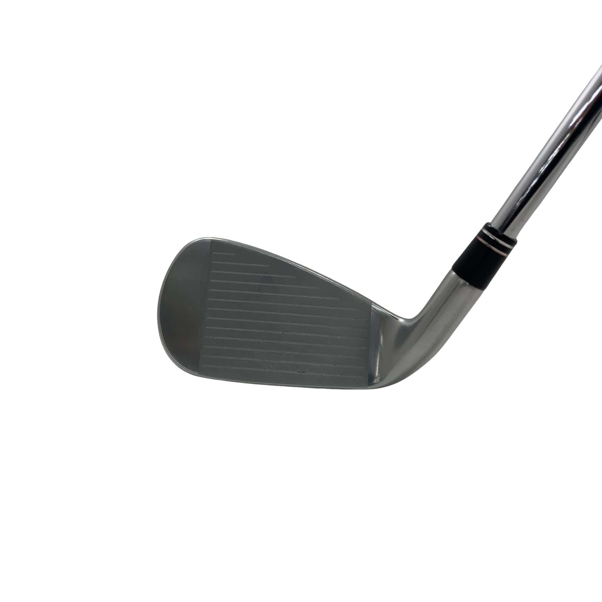 �������i�Q�O�P�X�j�@�V�r�i���{���F�U�{�Z�b�g�j