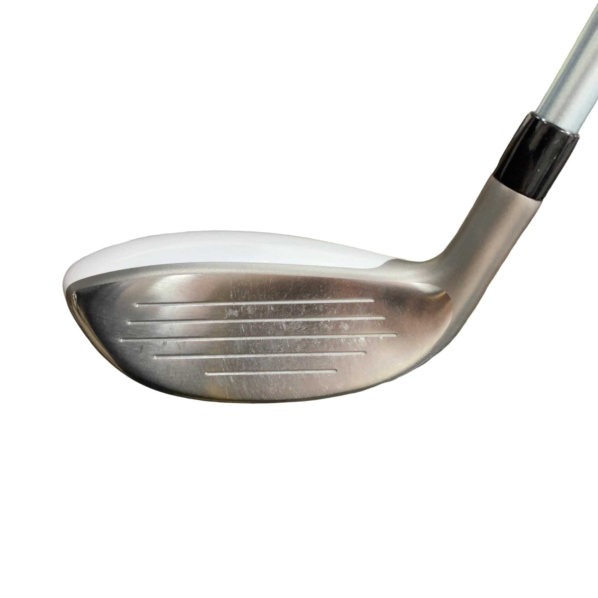 �a�q�|�w�@�t�T�@���f�B�[�X