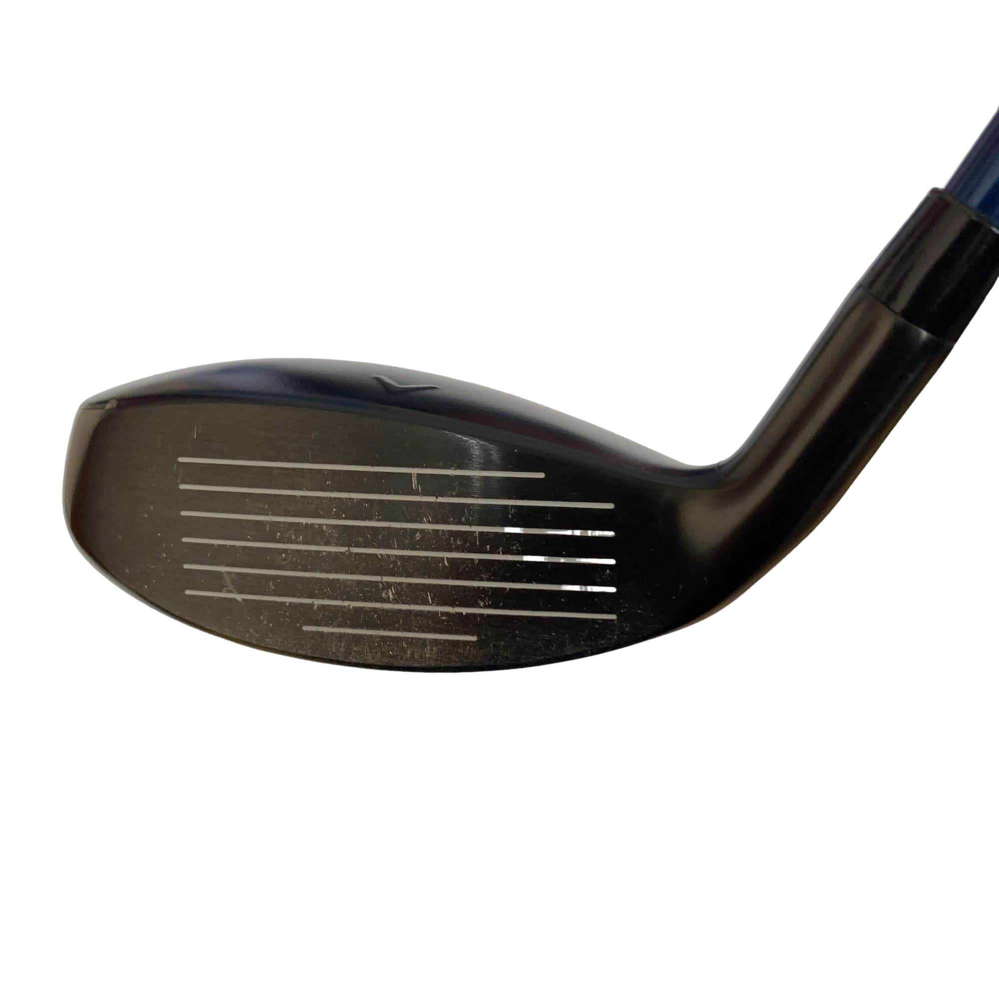 �w�q�@�t�R