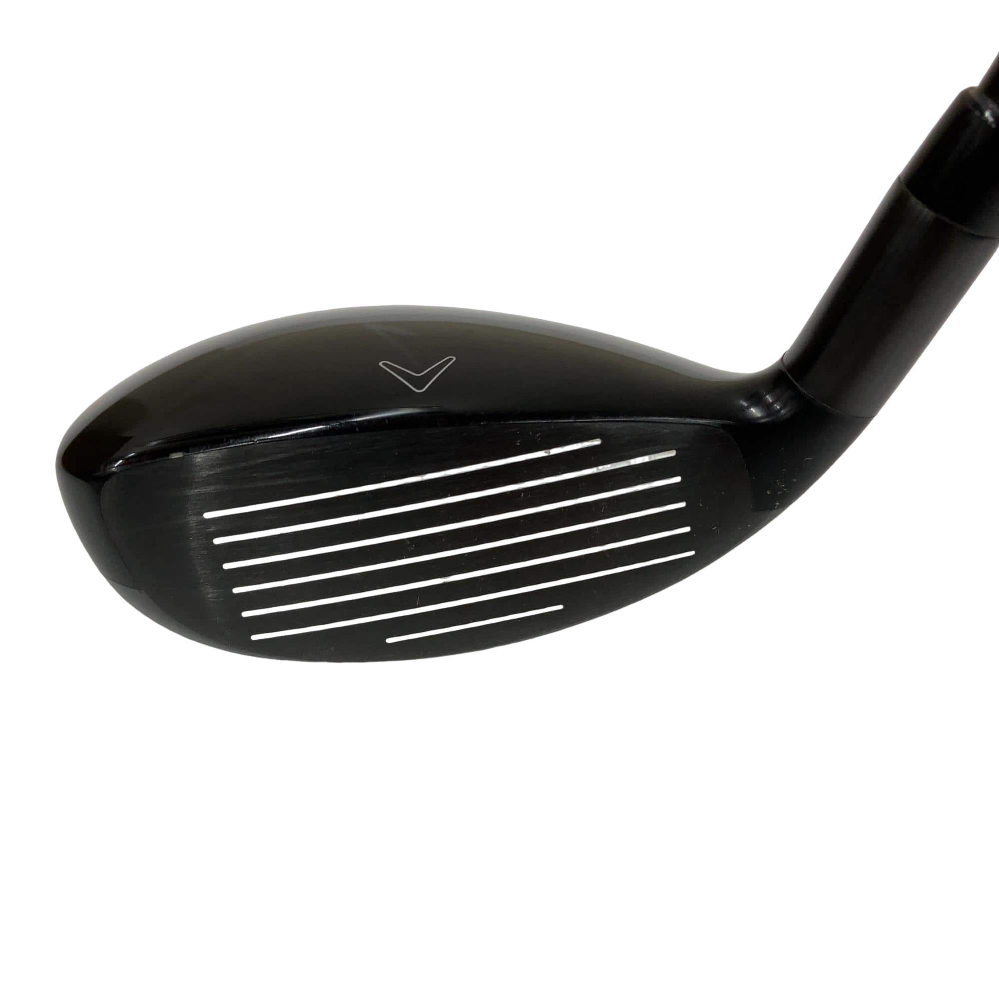 �w�Q�@�g�n�s�@�t�R