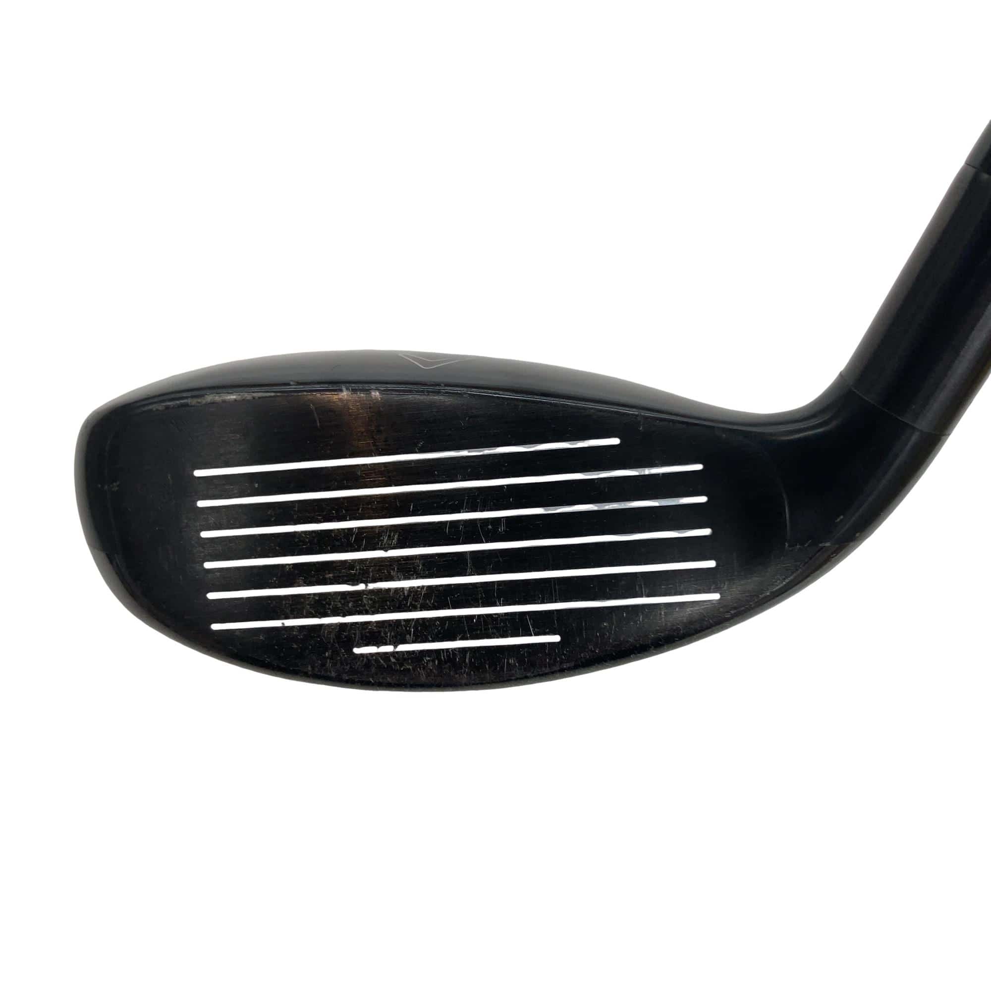 �w�Q�@�g�n�s�@�t�T