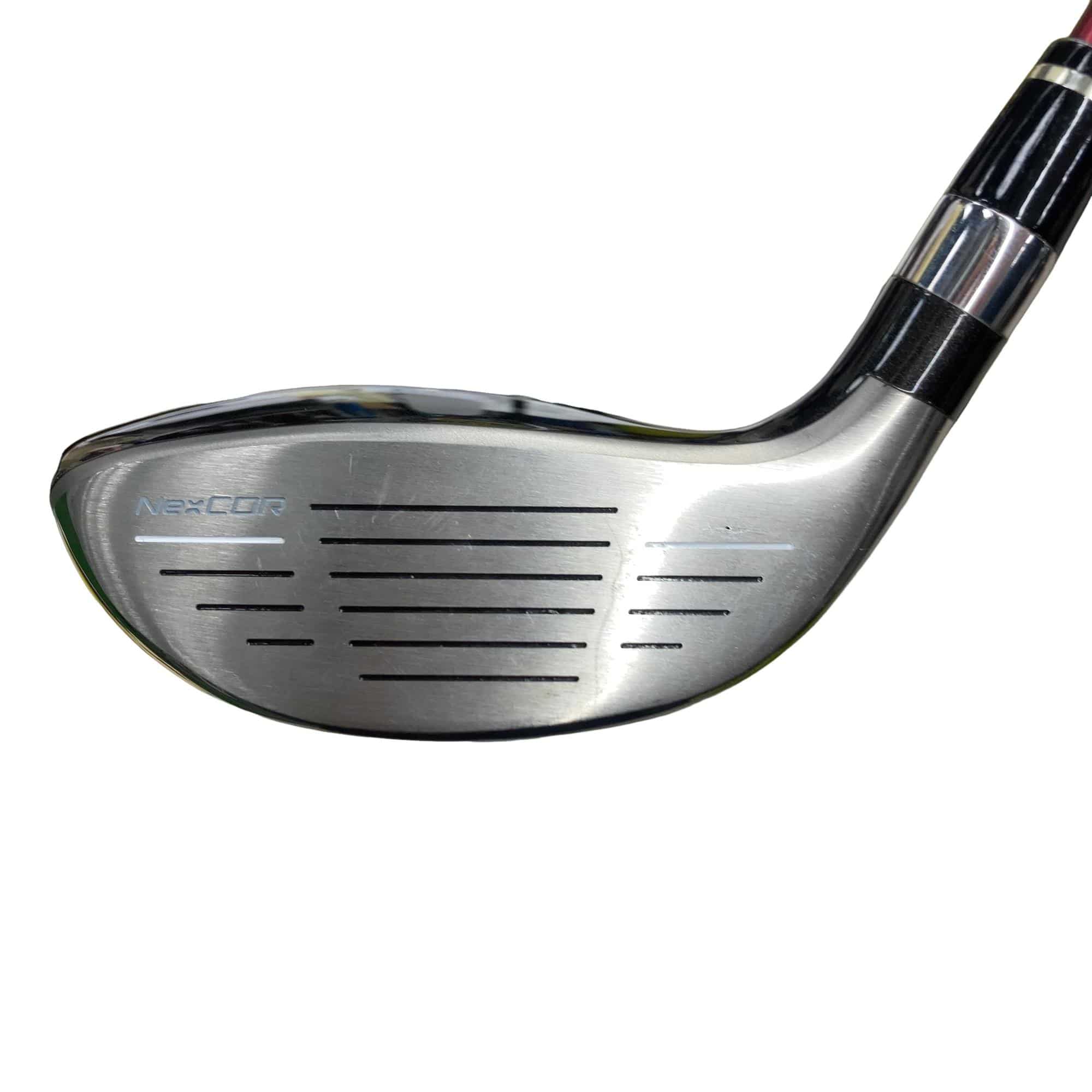 �u�q�Q�r�@���[�e�B���e�B�@�t�Q