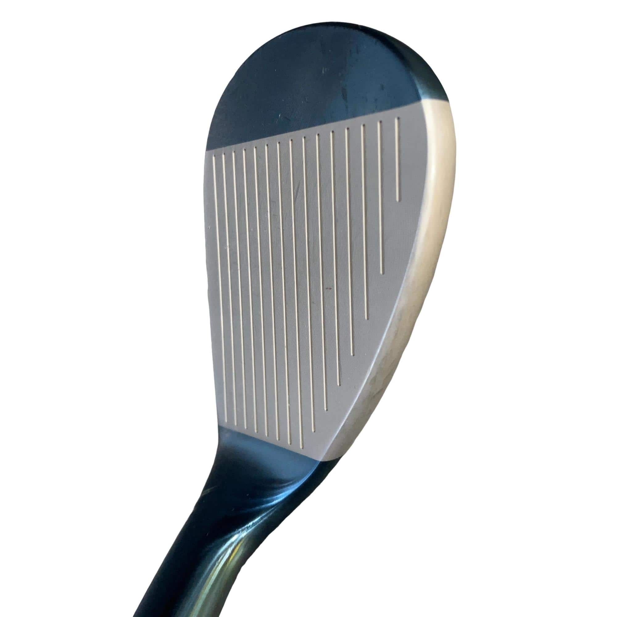 �l�����������@�o�����@�r�P�W�i�u���[�j�@�T�S°�^�P�Q°