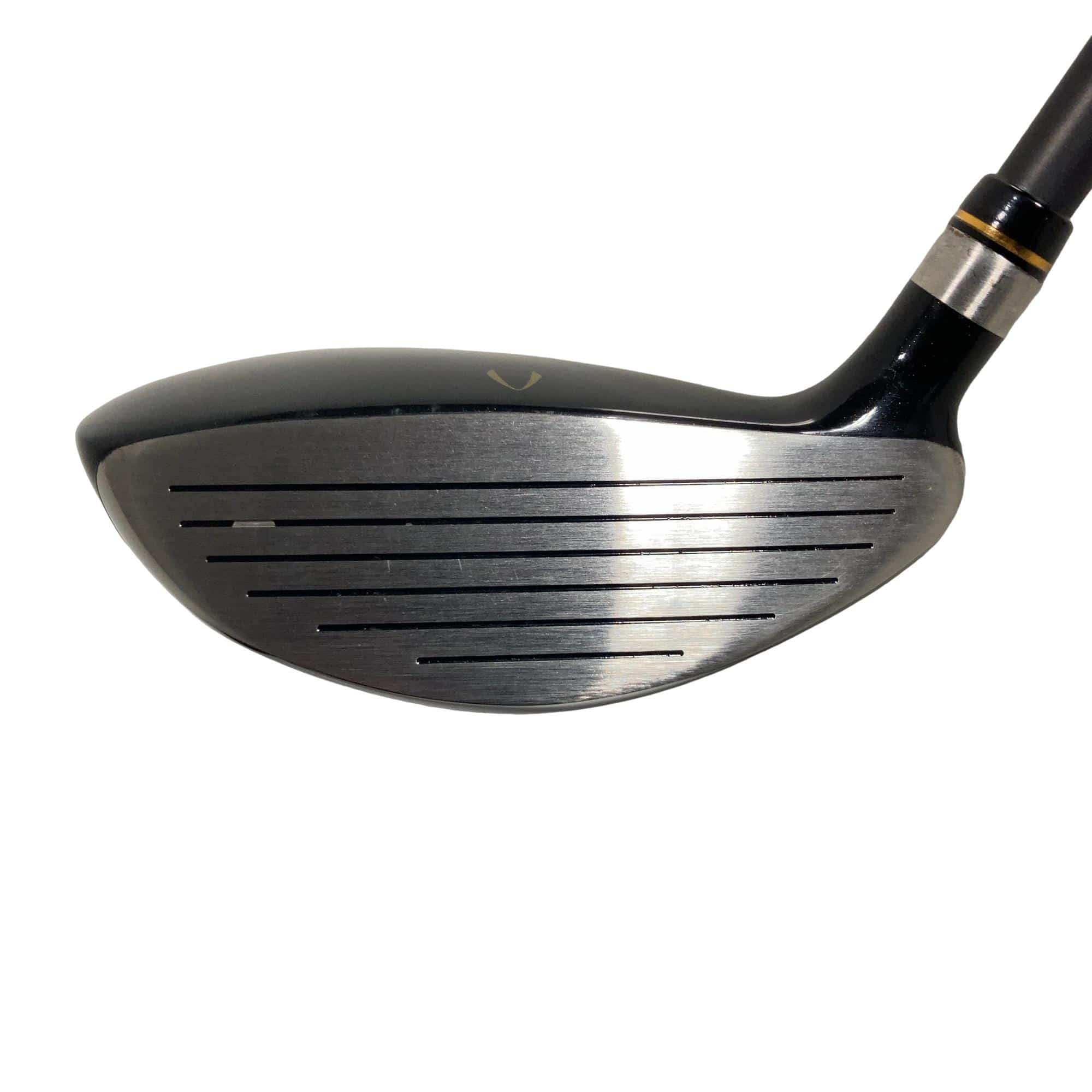 �j�Q�j�@���������O�X���[�e�B���e�B�@�t�T