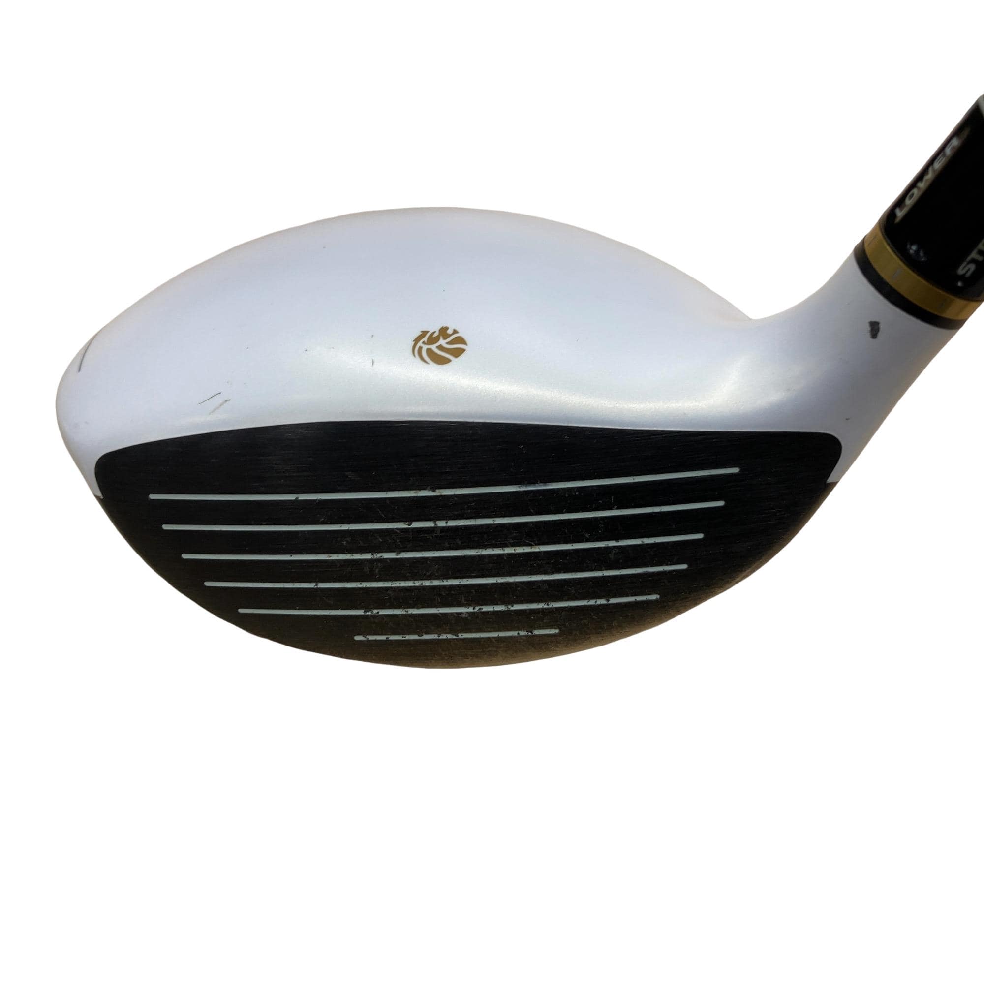 �f�k�n�h�q�d�@�R�v