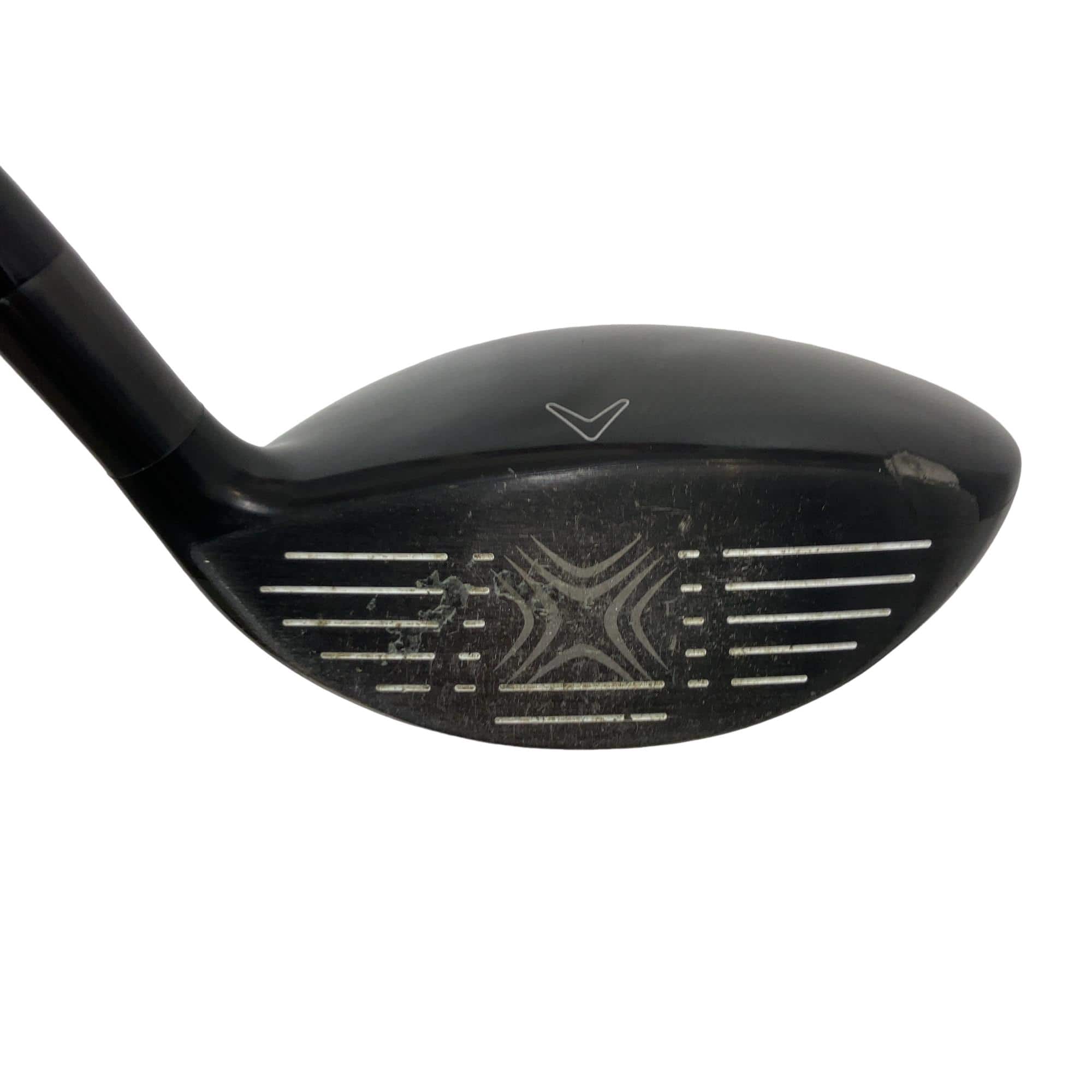 �w�Q�@�g�n�s�@�@�T�v�@���t�e�B