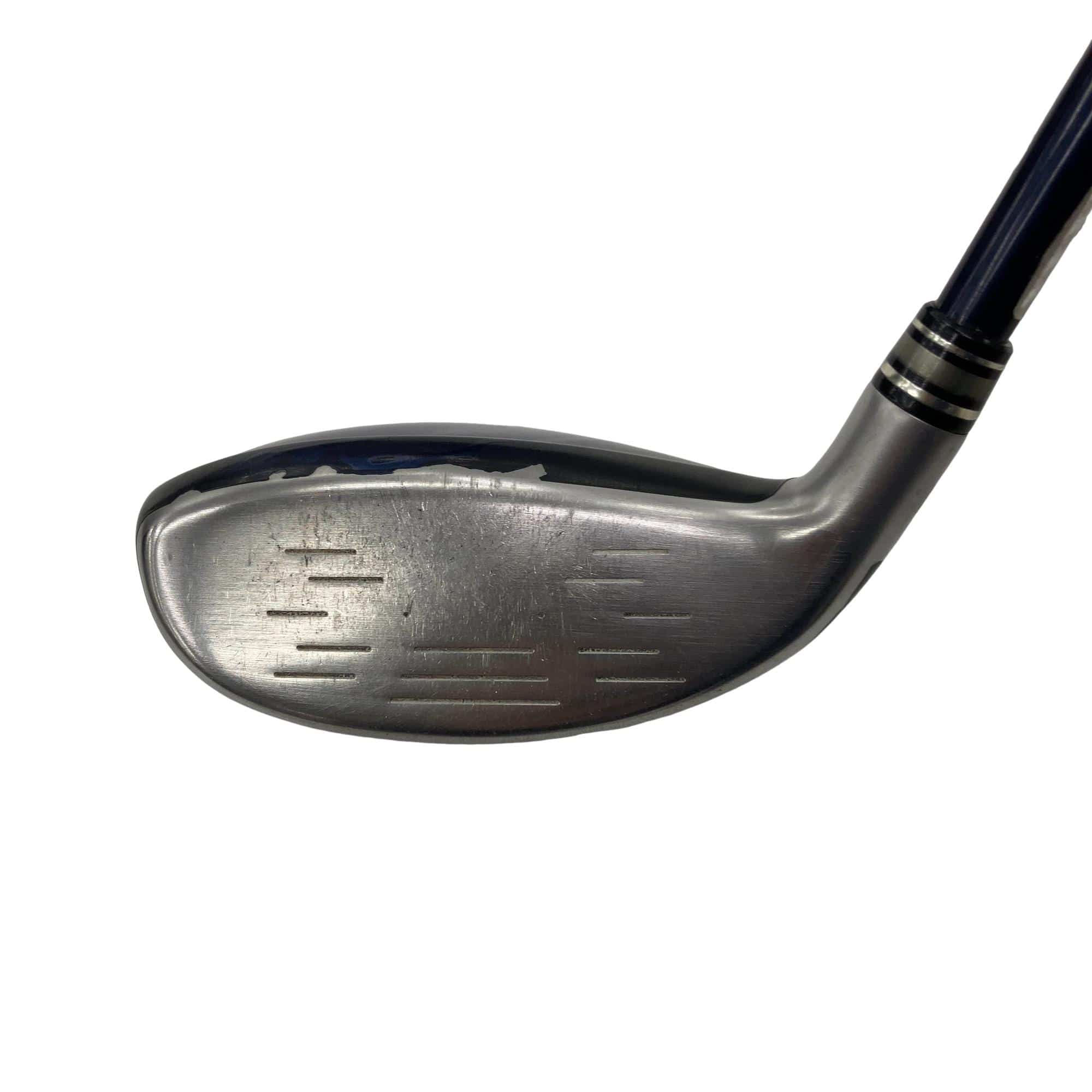 �w�w�h�n�i�Q�O�P�W�j�@�g�T