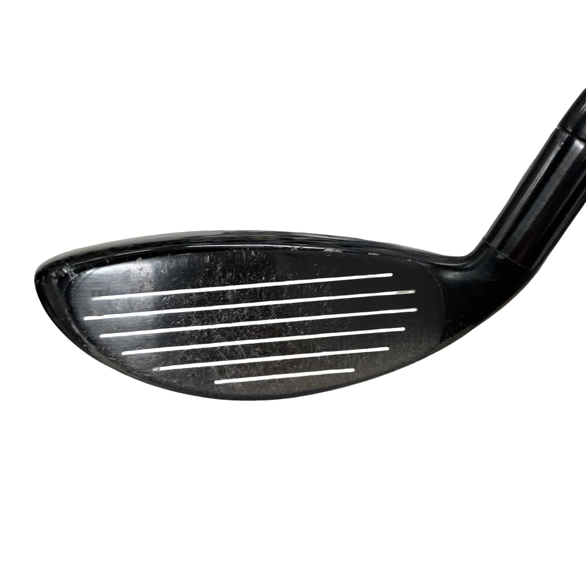 �w�@�g�n�s�@�t�S