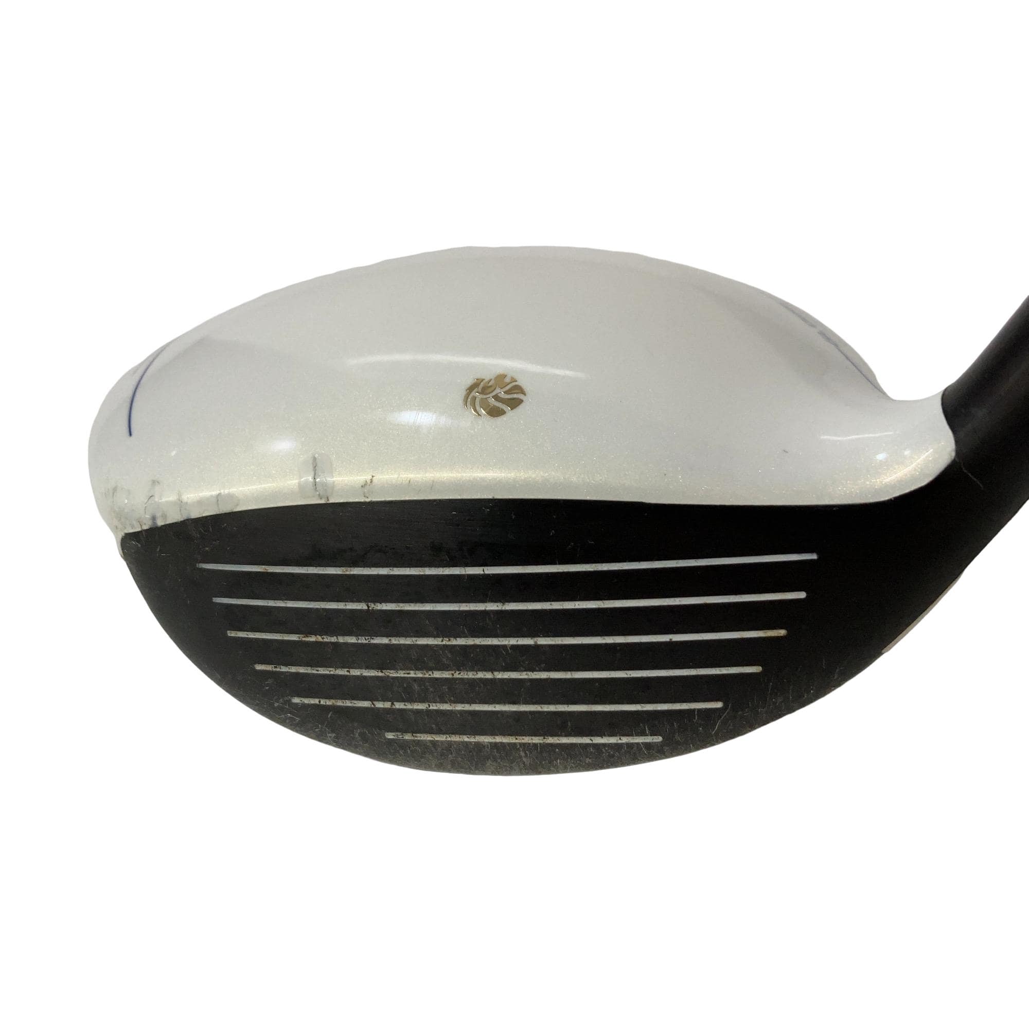 �f�k�n�h�q�d�@�e�i�Q�O�P�U�j�@�T�v