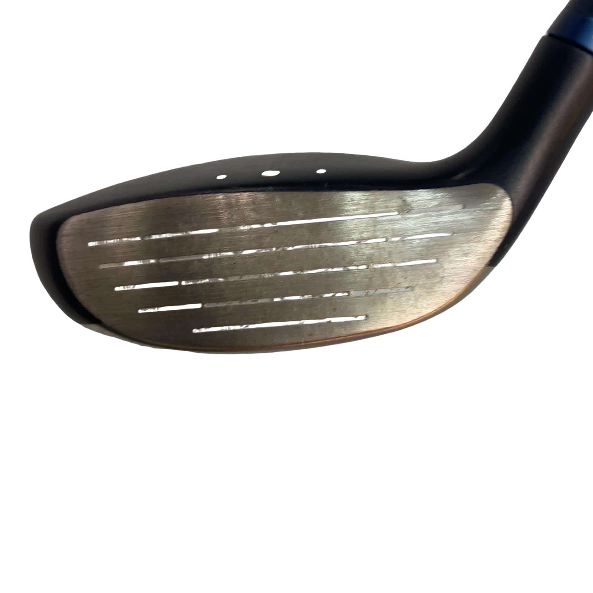 �f�@�k���R�@�V�v�@���f�B�[�X