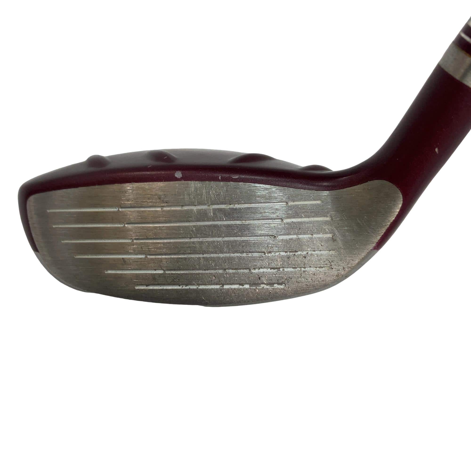 �f�@�k���Q�@�t�T�@���f�B�[�X