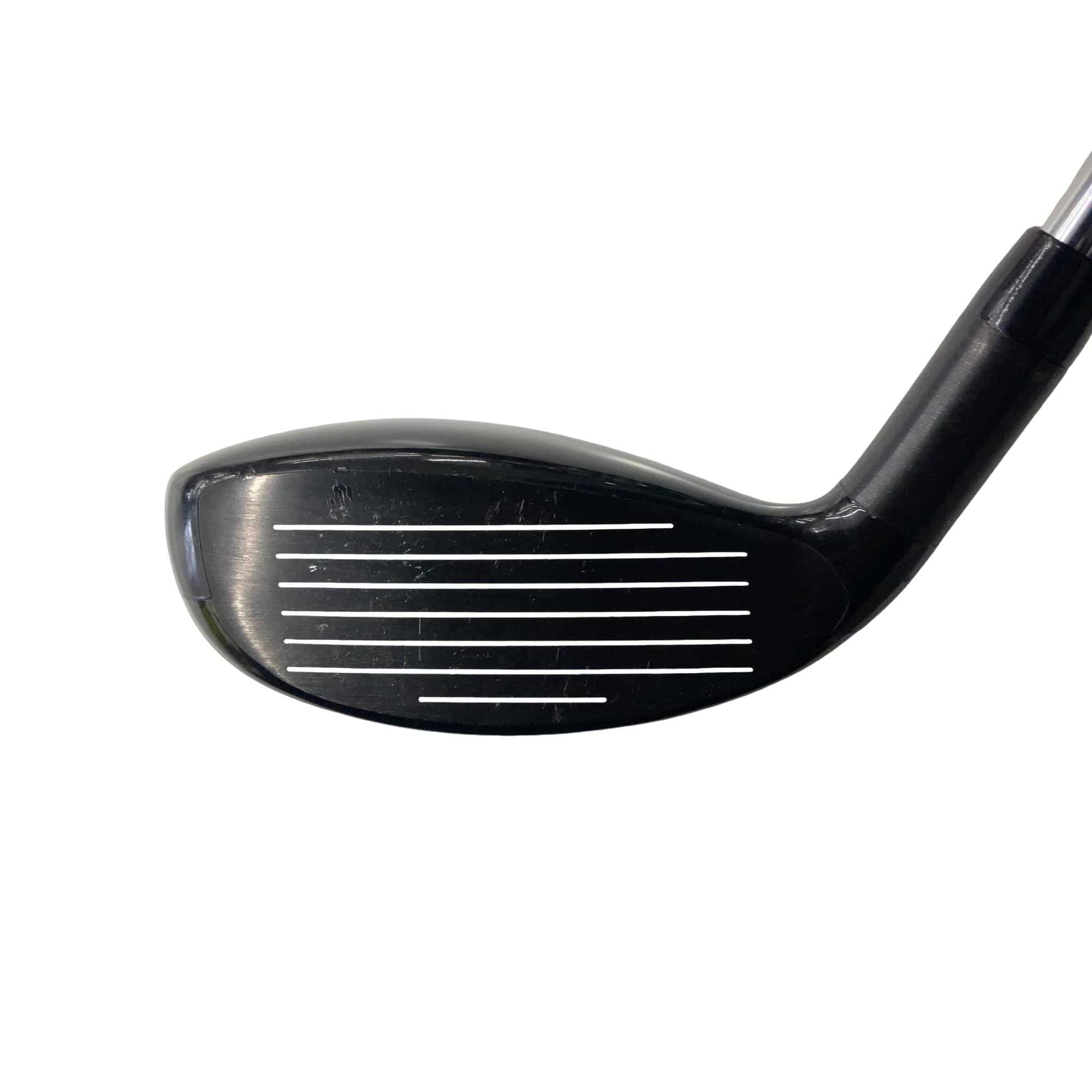 �w�Q�@�g�n�s�@�o�q�n�@�P�W°