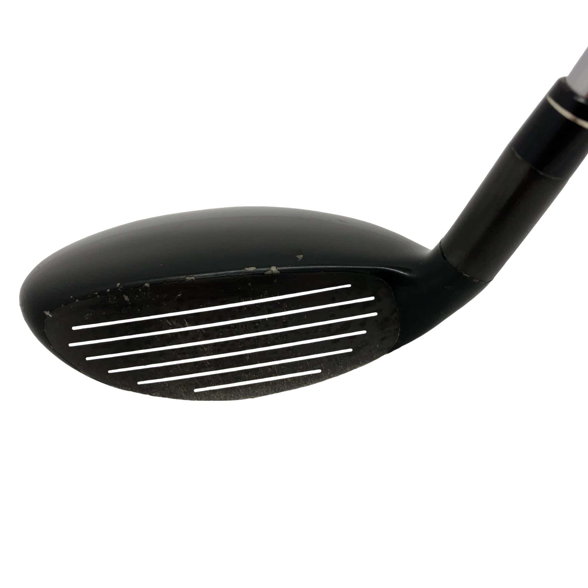 �w�@�g�n�s�@�t�S