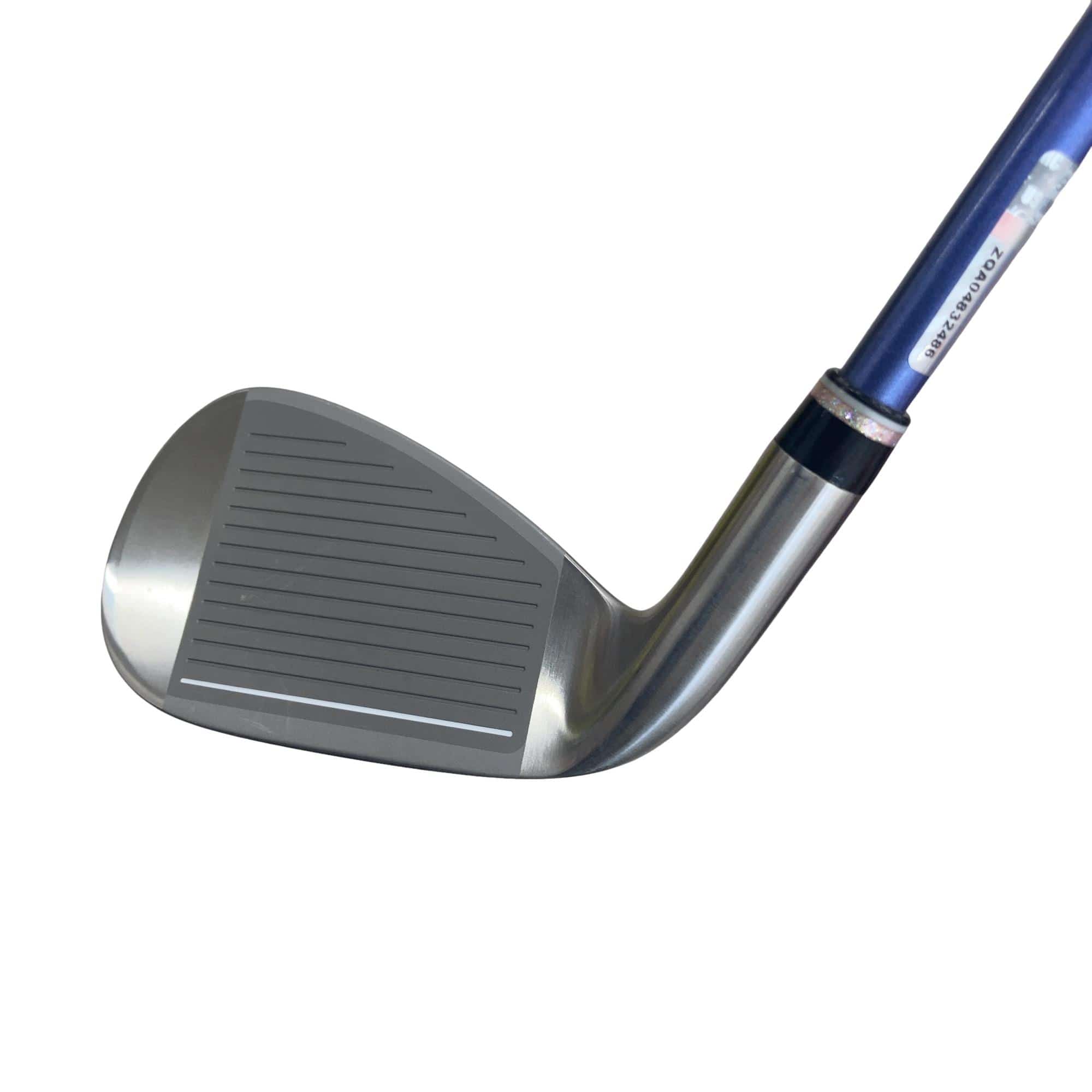 �w�w�h�n�i�Q�O�Q�O�j�@�T�r�@���f�B�[�X�i���{���F�T�{�Z�b�g�j