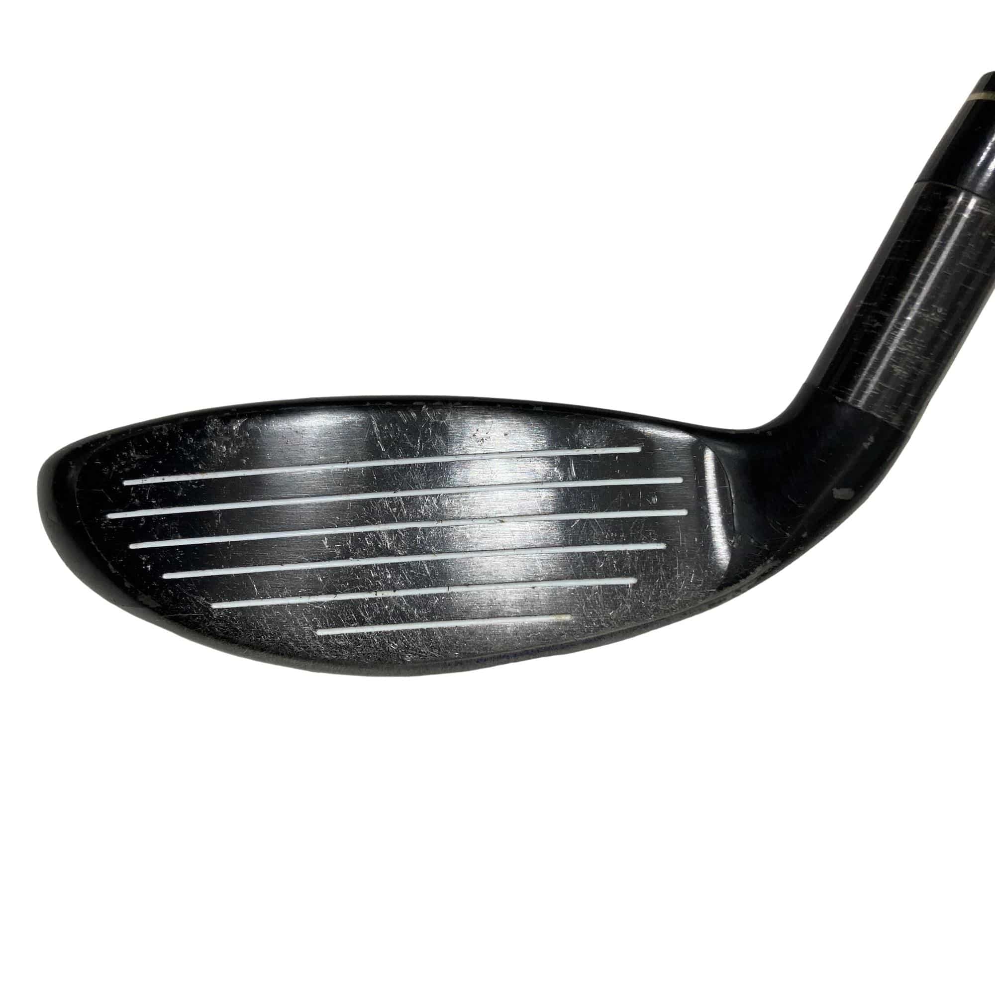 �w�@�g�n�s�@�t�R