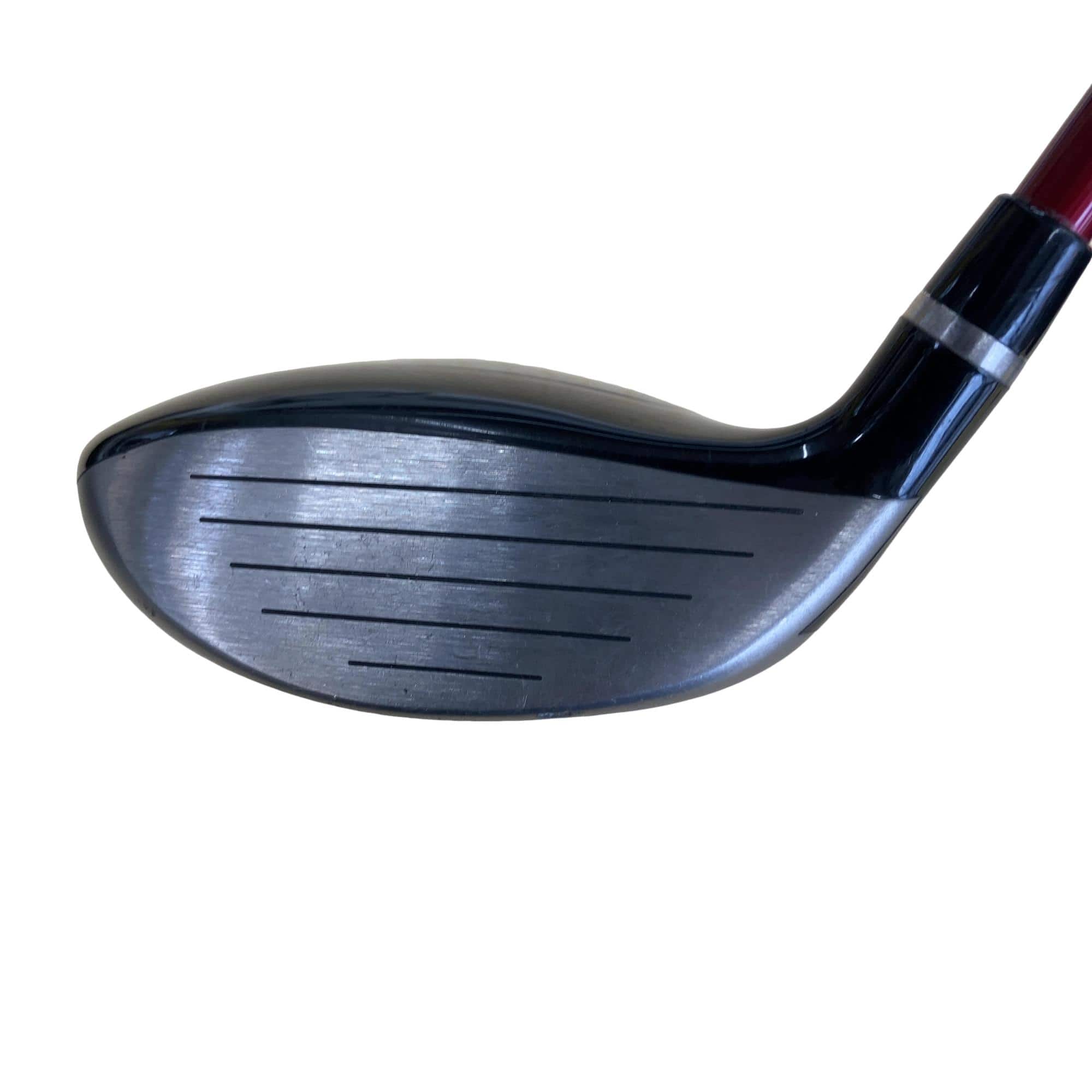 �q�l�w�@�u�c�@�T�v