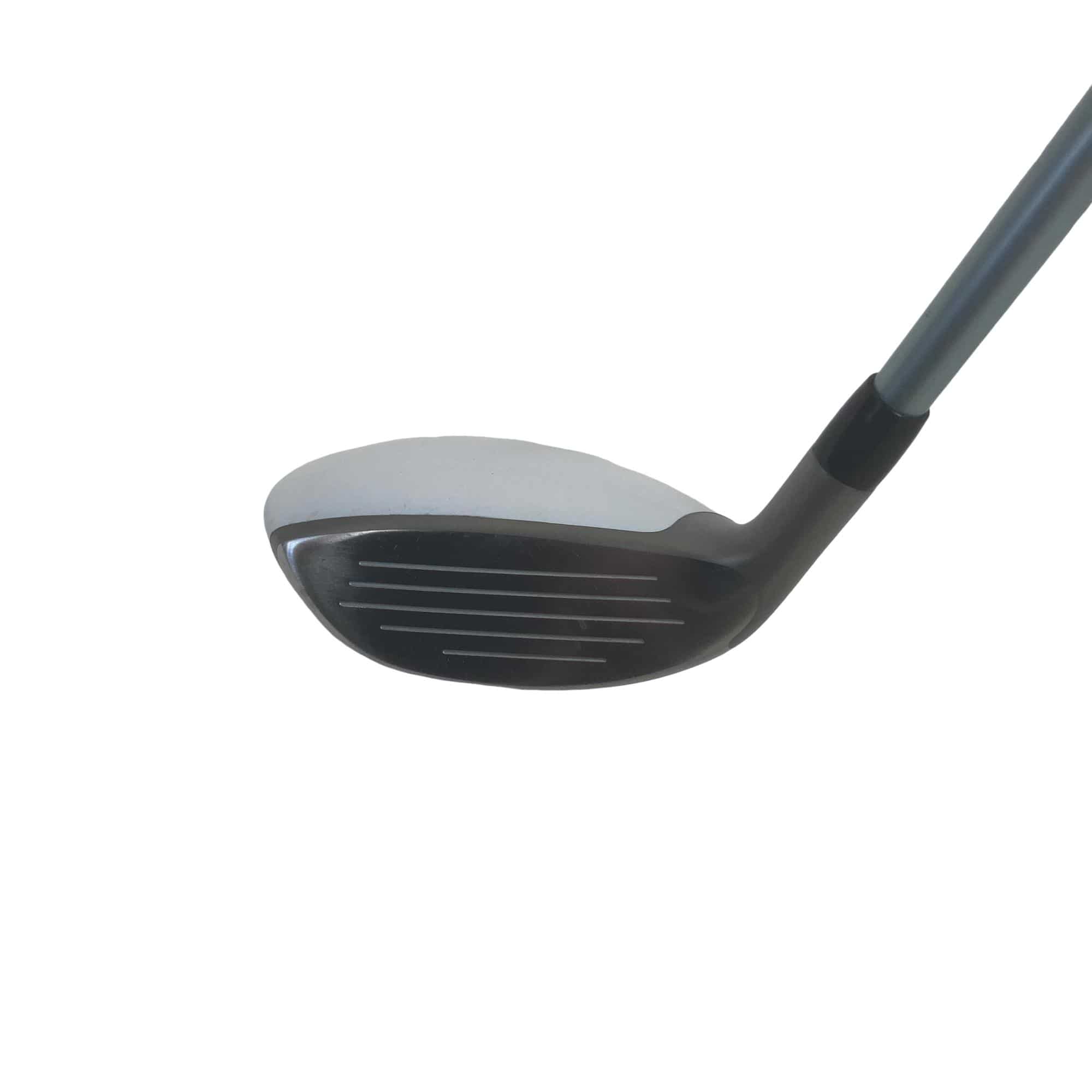 �a�q�|�w�@�t�T�@���f�B�[�X