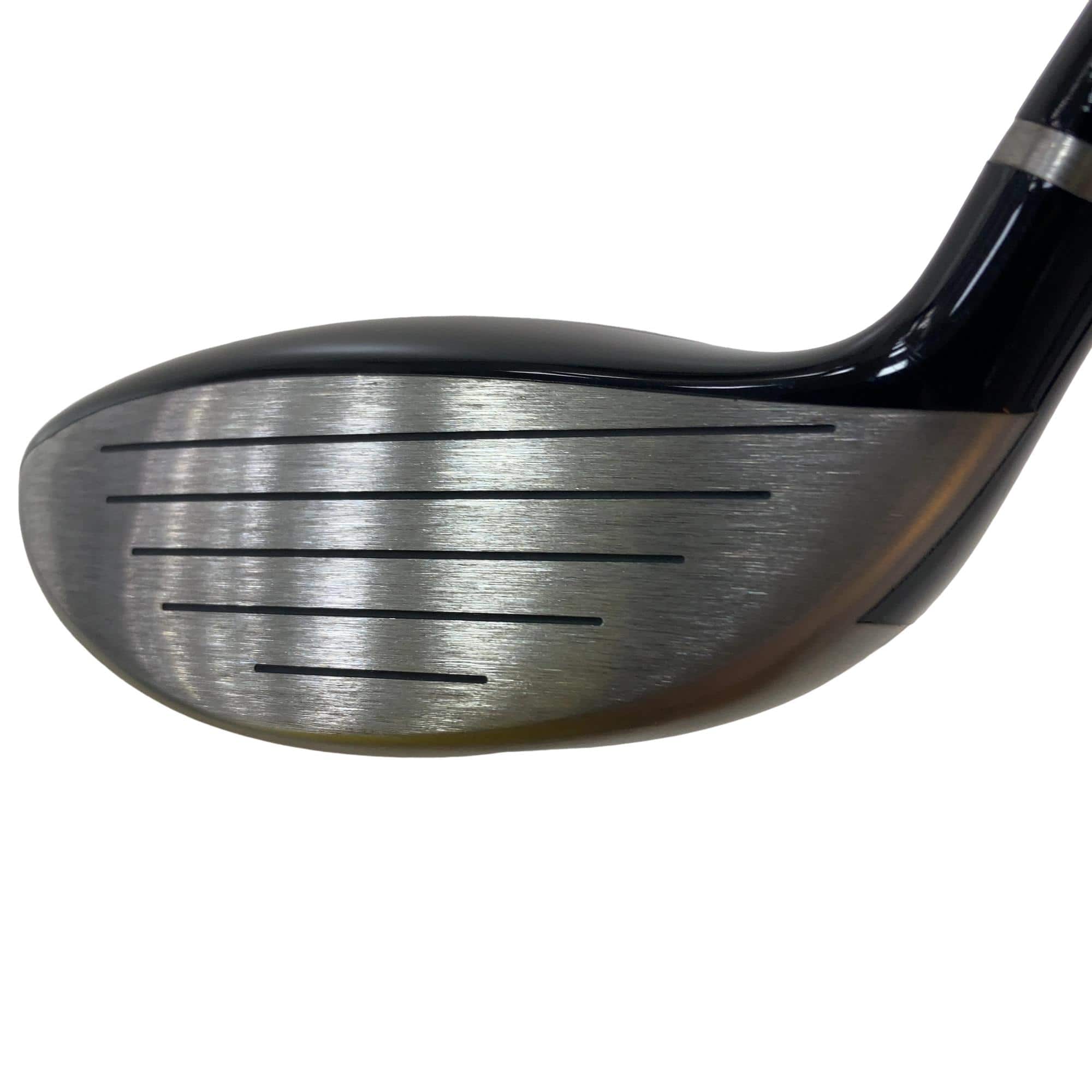 �q�l�w�@�u�c�@�T�v