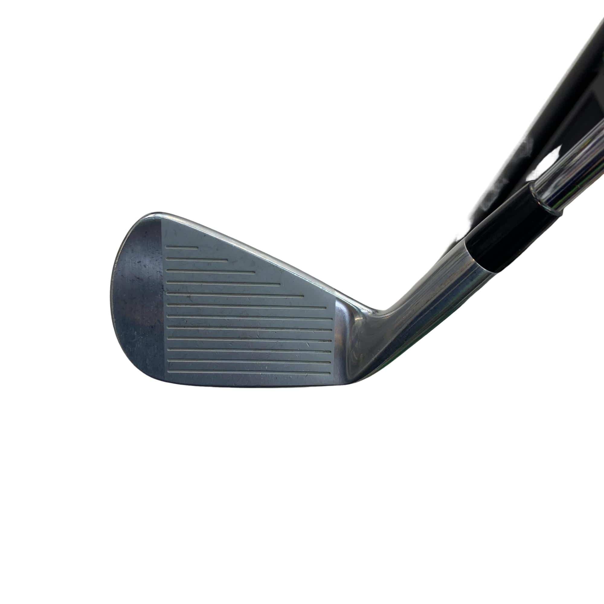 �l�����������@�o�����@�P�P�W�@�U�r�i���{���F�U�{�Z�b�g�j