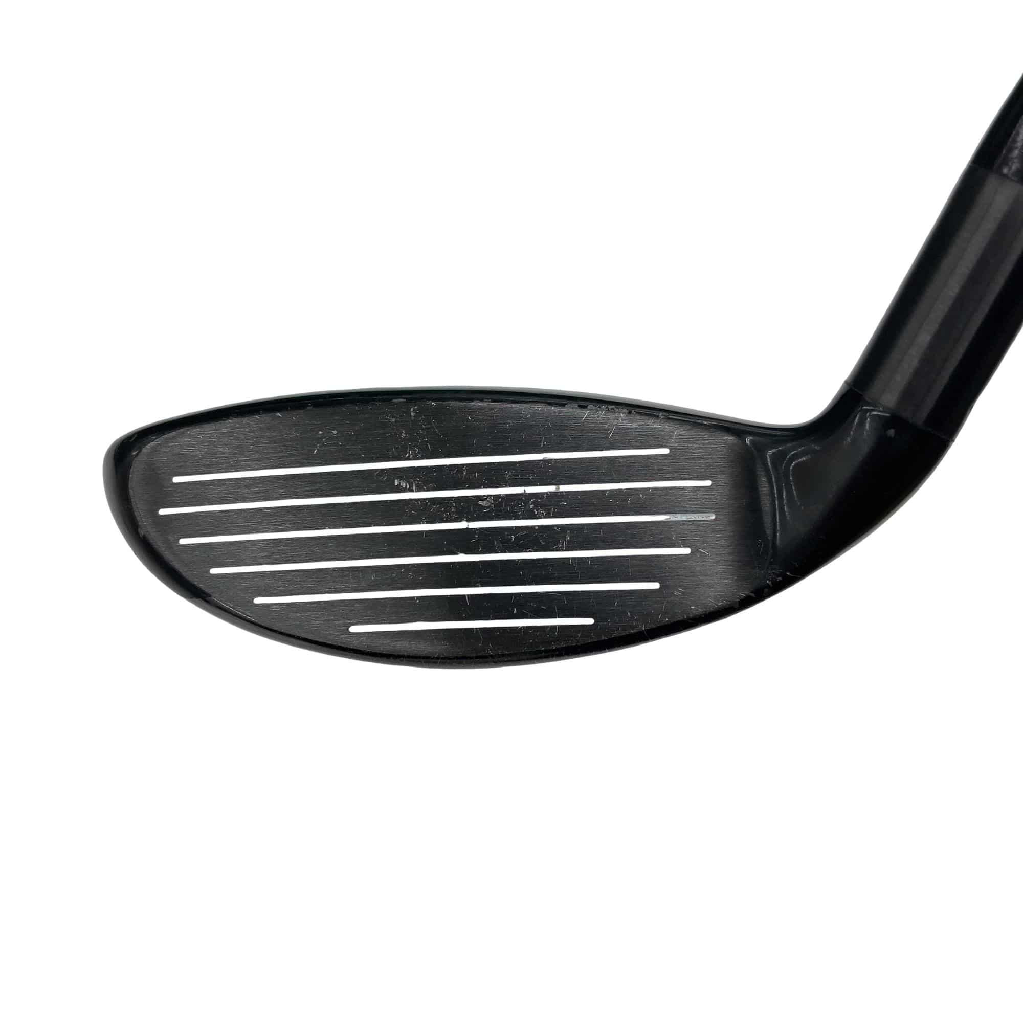 �w�@�g�n�s�@�t�R