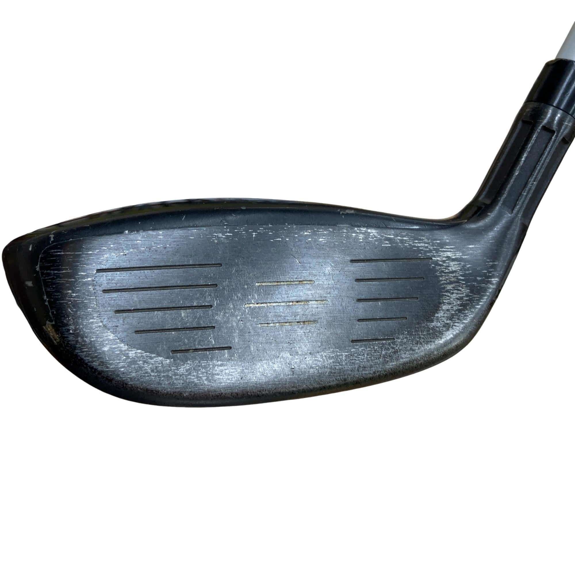 �l�Q�@�t�T�@���f�B�[�X