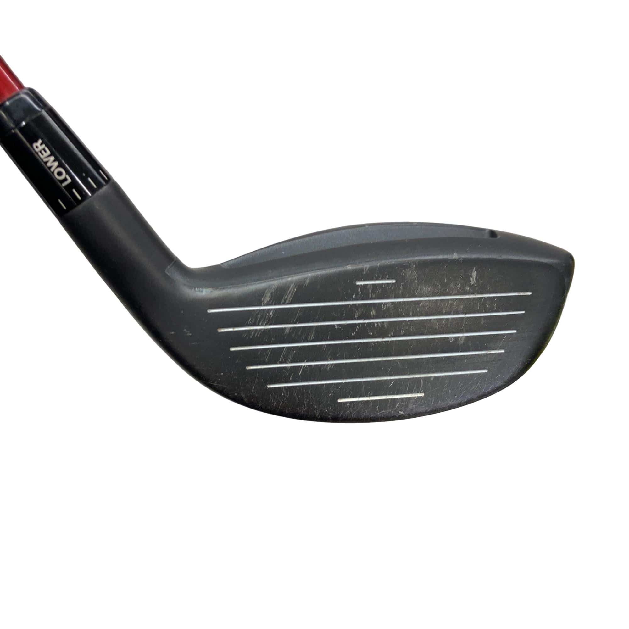 �`���������@�w�s�c�@�����@�P�T°�@���t�e�B