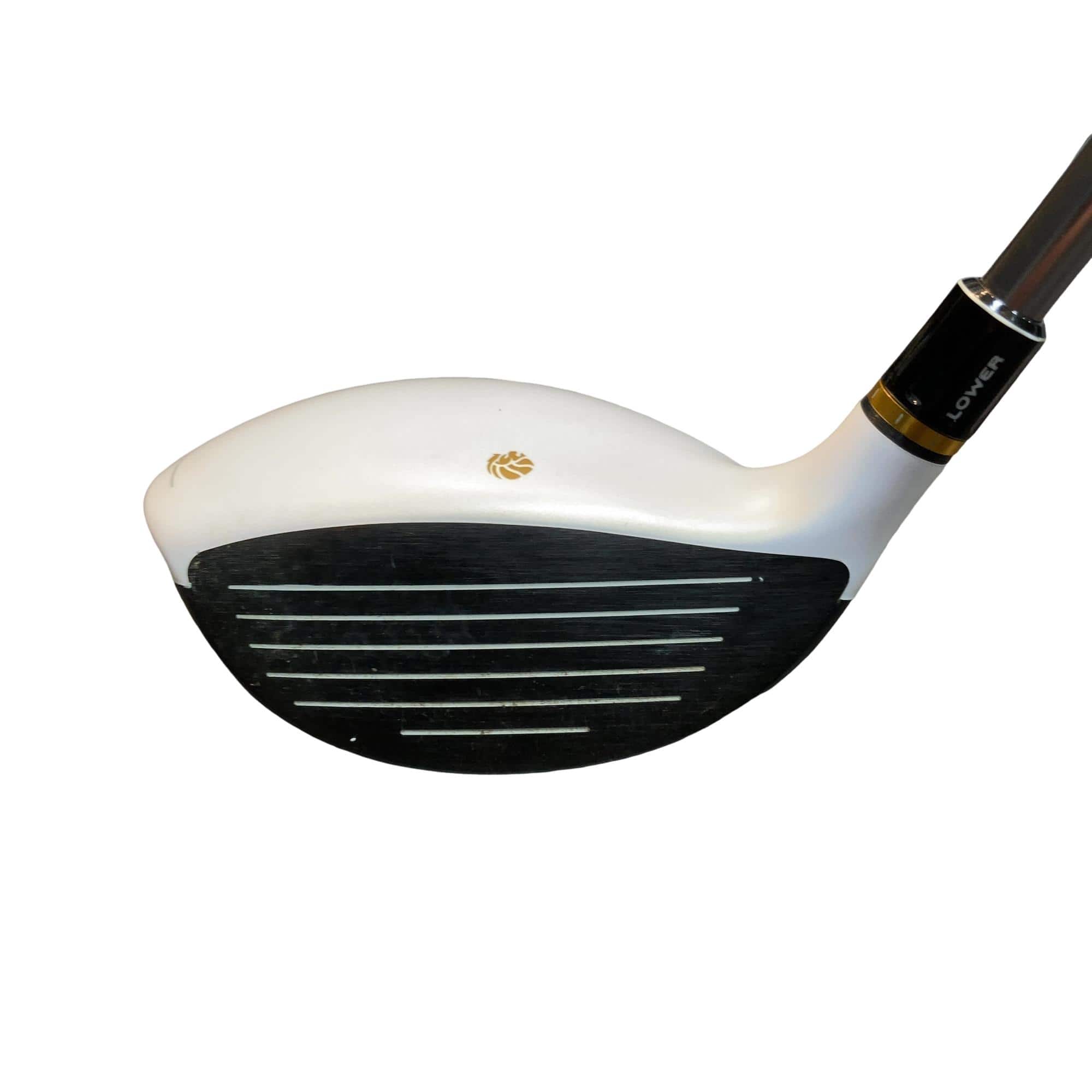 �f�k�n�h�q�d�@�T�v