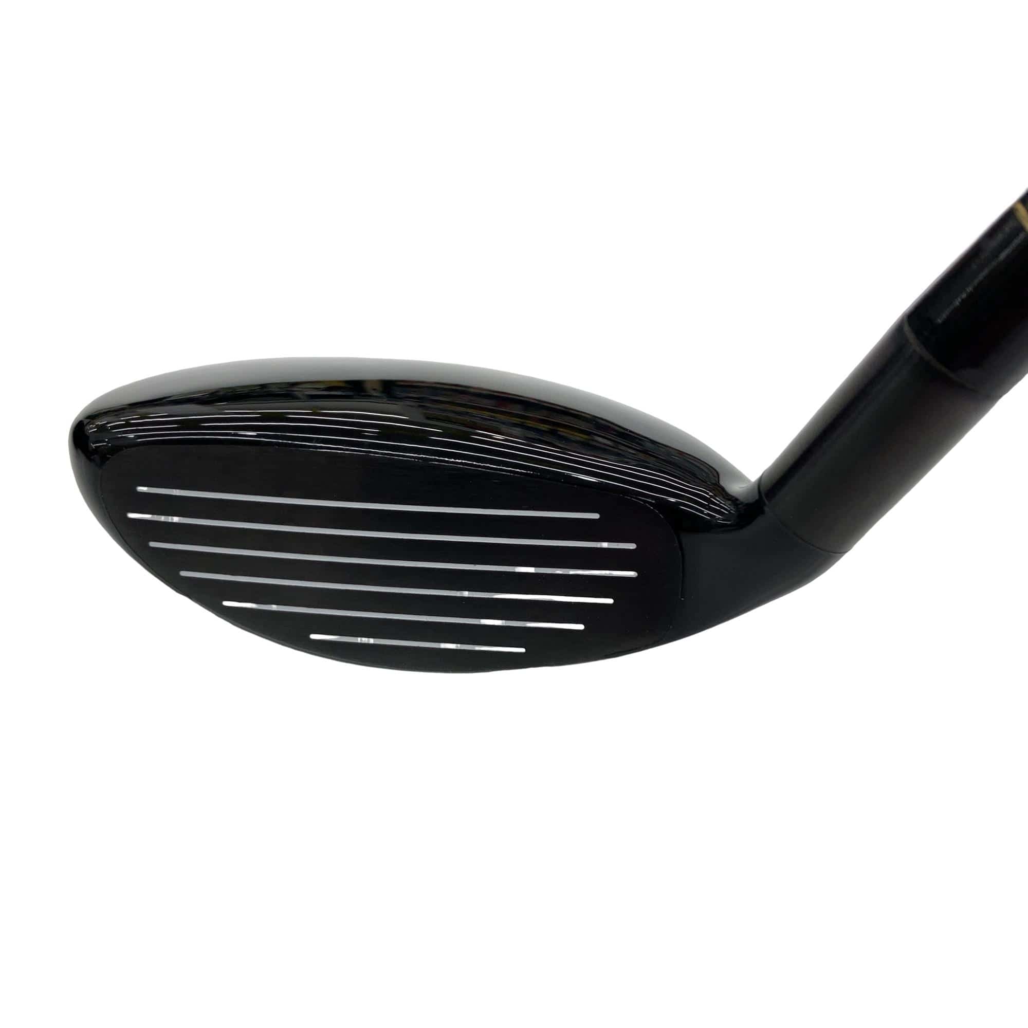 �w�@�g�n�s�@�t�R