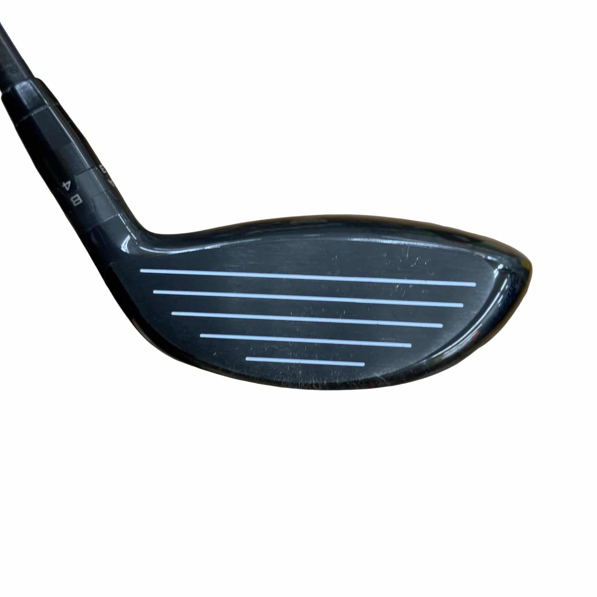 �X�P�V�@�e�Q�@�P�T°�@���t�e�B