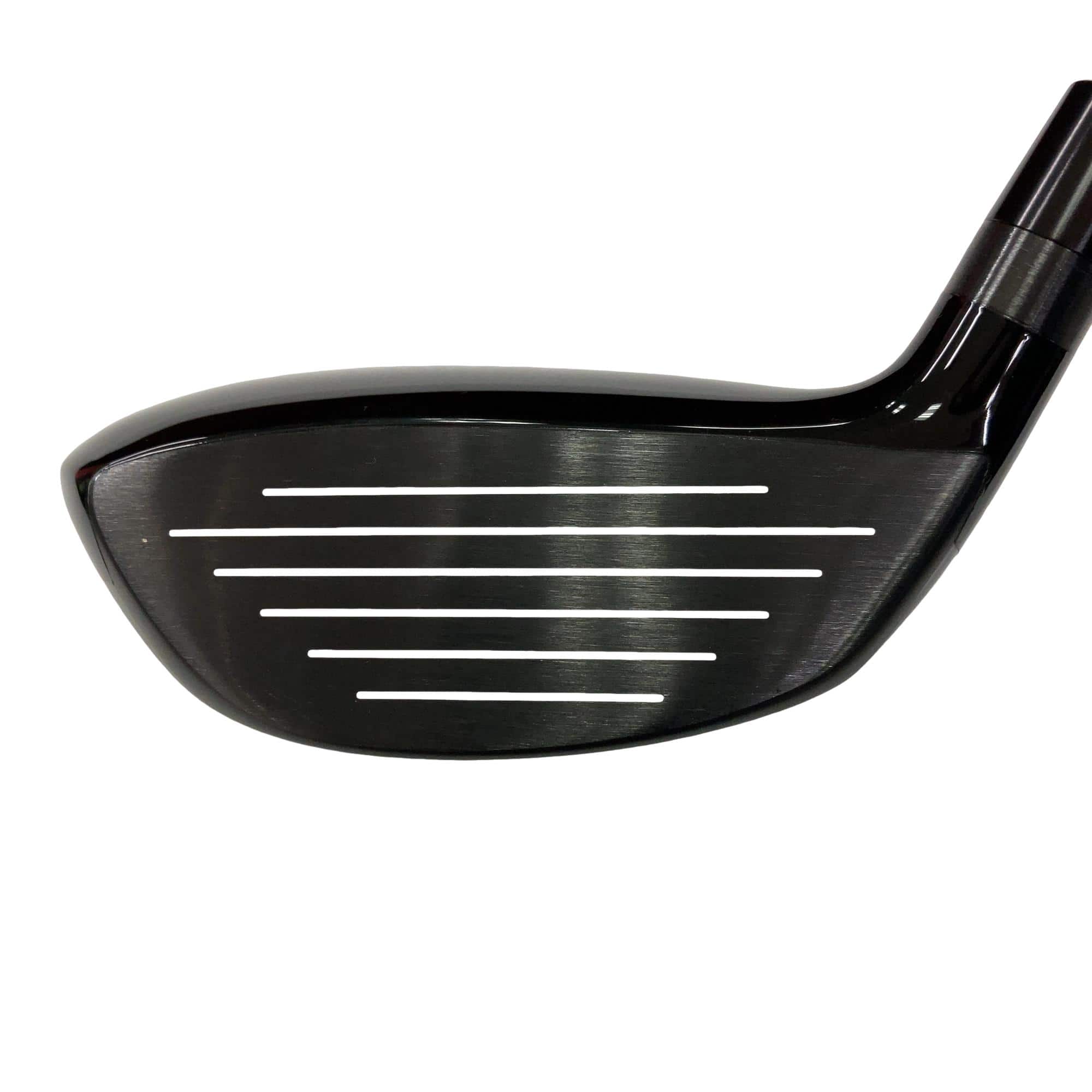 �l�����������@�o�����i�Q�O�P�X�j�@�R�s�r