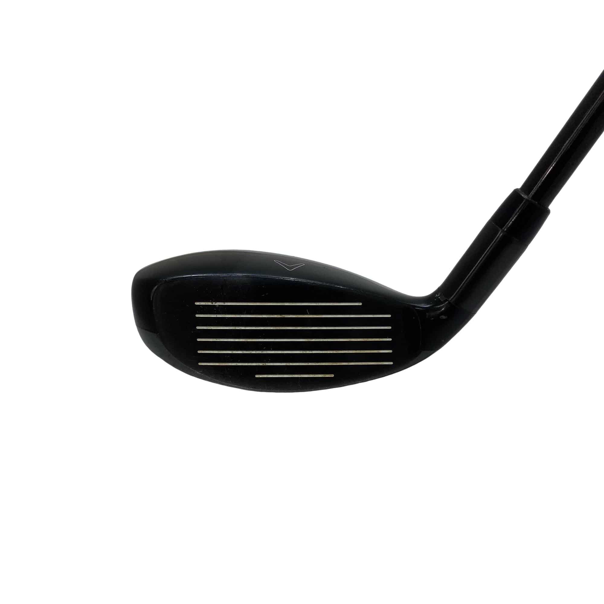 �w�Q�@�g�n�s�@�t�S