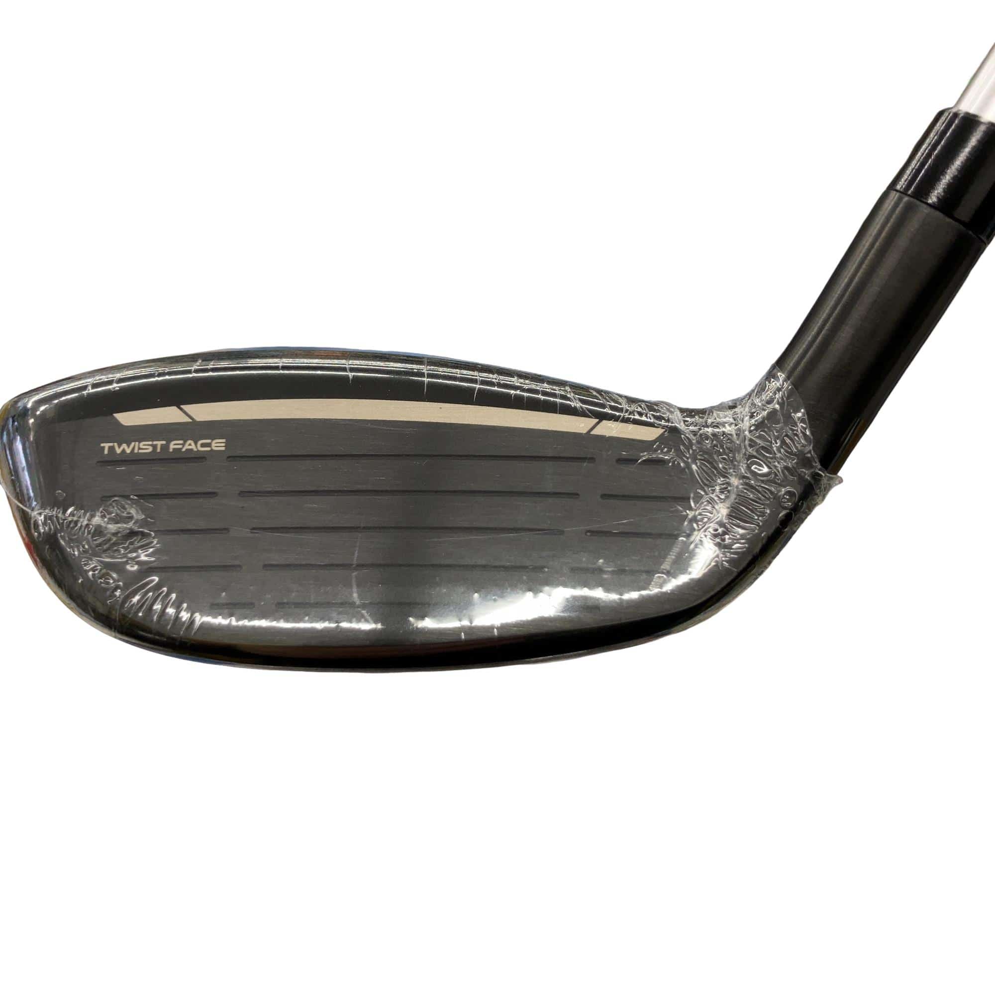 �p���P�O�@�l�`�w�@�t�U�@���f�B�[�X