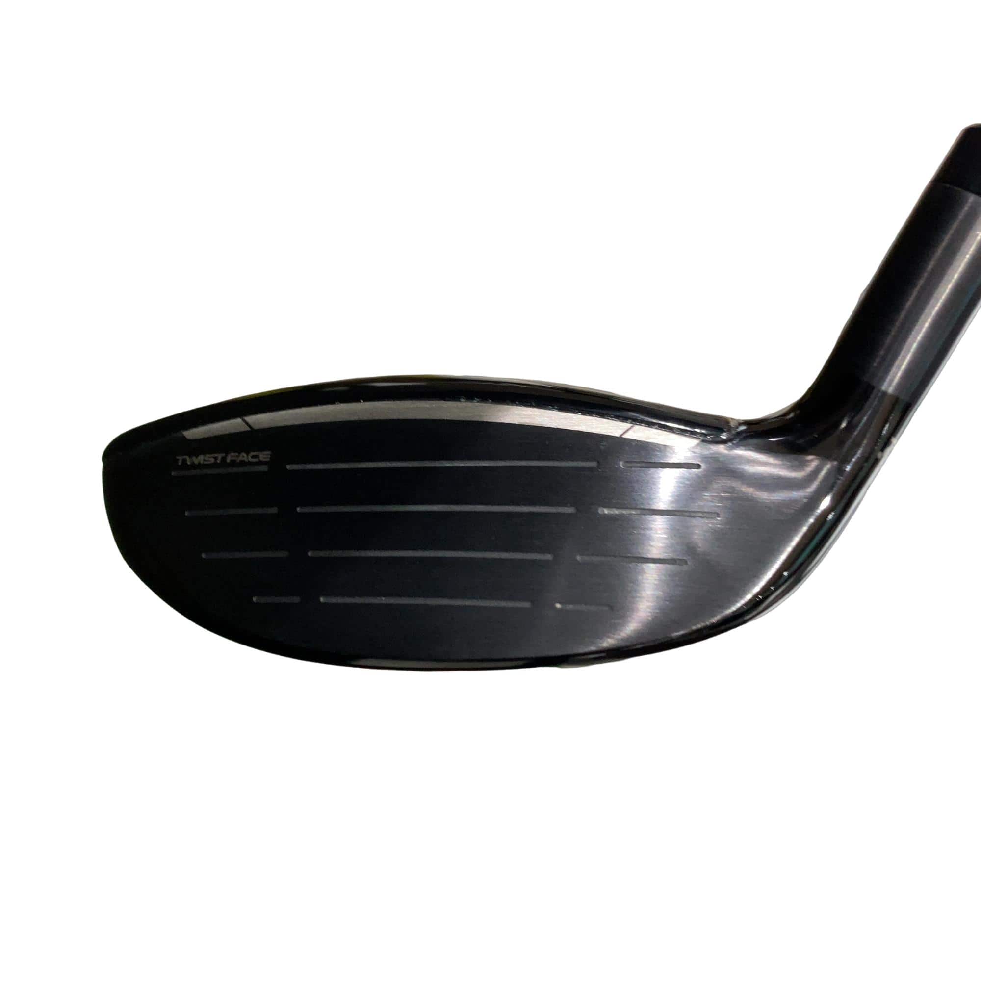 �p���P�O�@�l�`�w�@�V�v�@���f�B�[�X