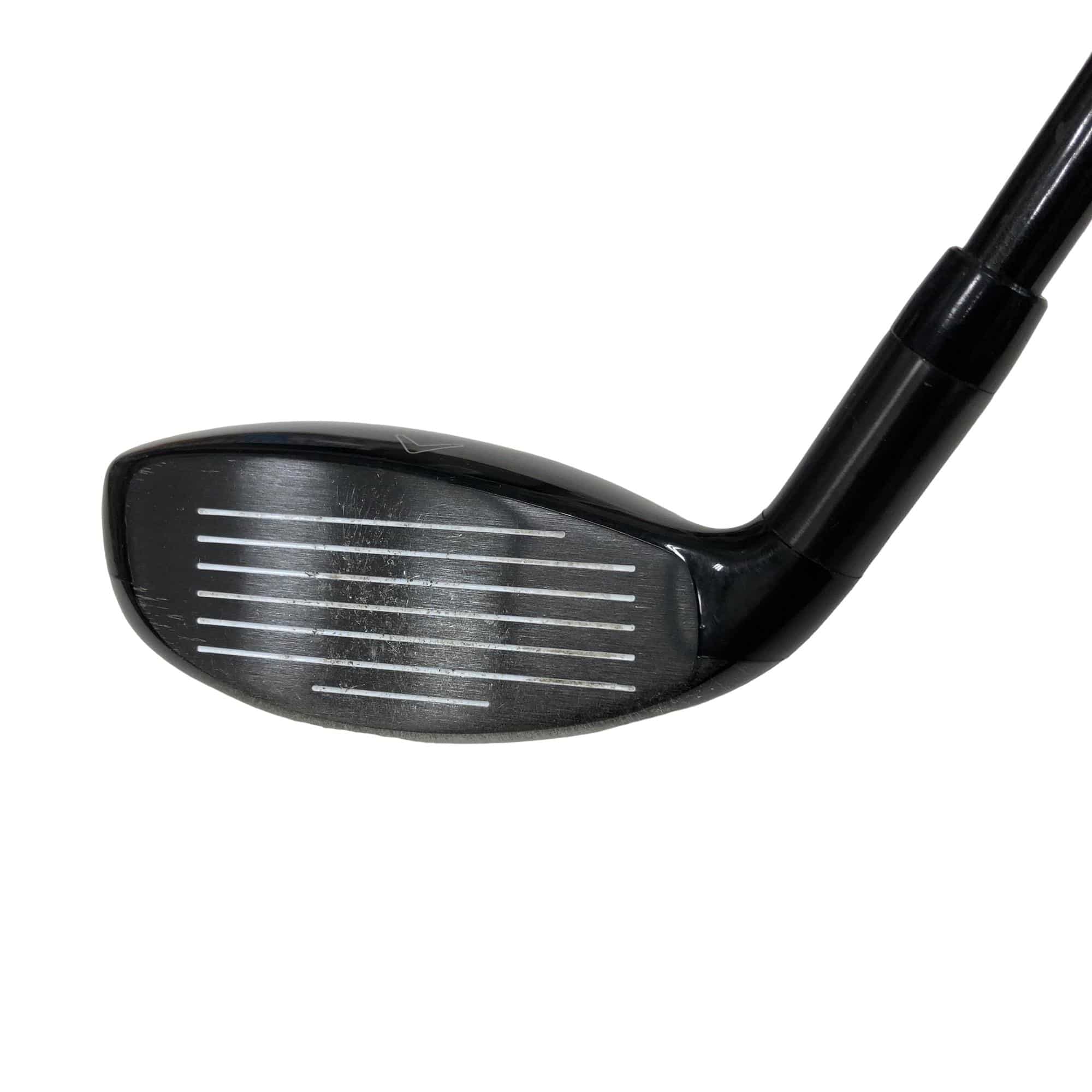 �w�Q�@�g�n�s�@�t�R