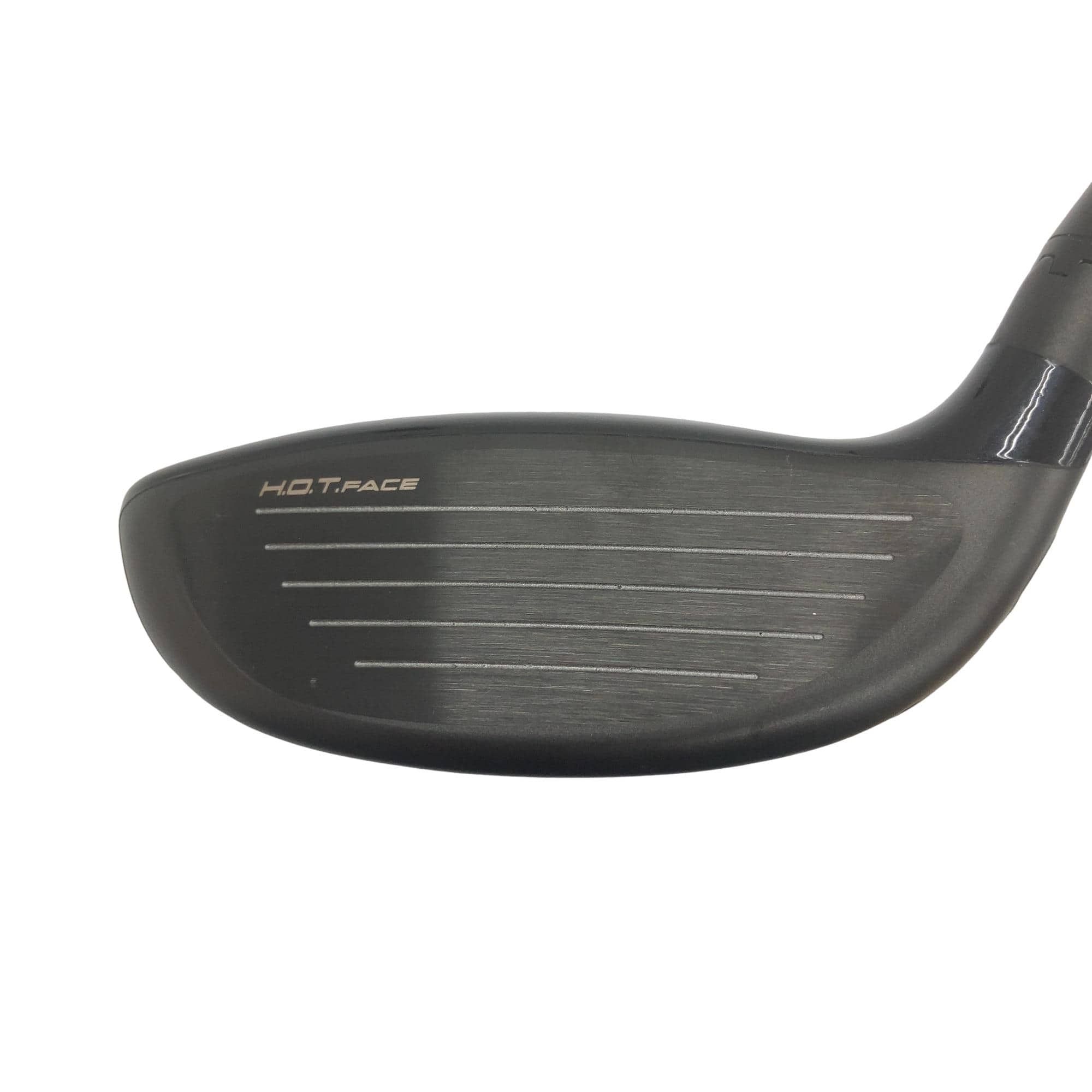 �����������@�`�d�q�n�i�d�s�@�l�`�w�@�T�v�@���f�B�[�X