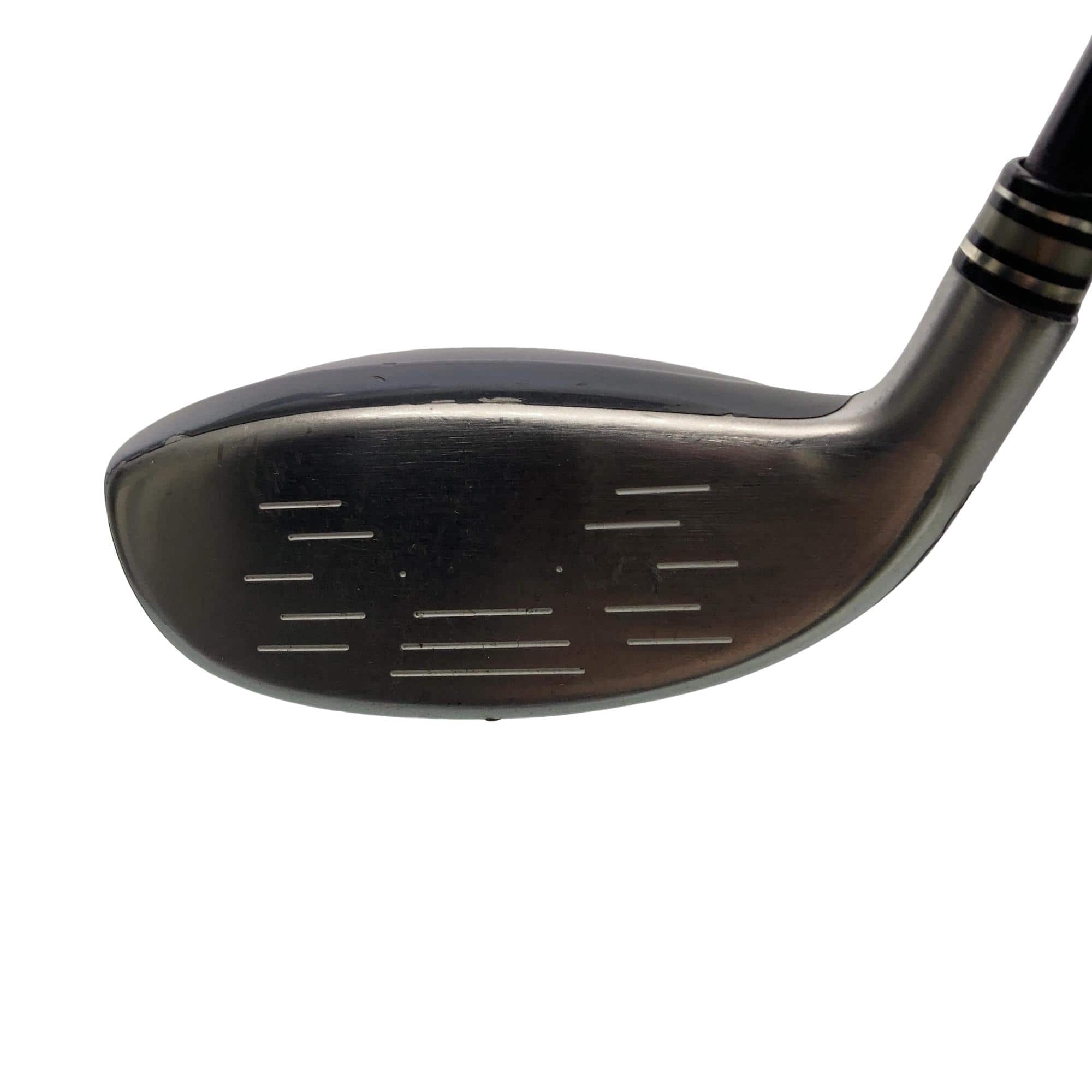 �w�w�h�n�i�Q�O�P�W�j�@�g�T