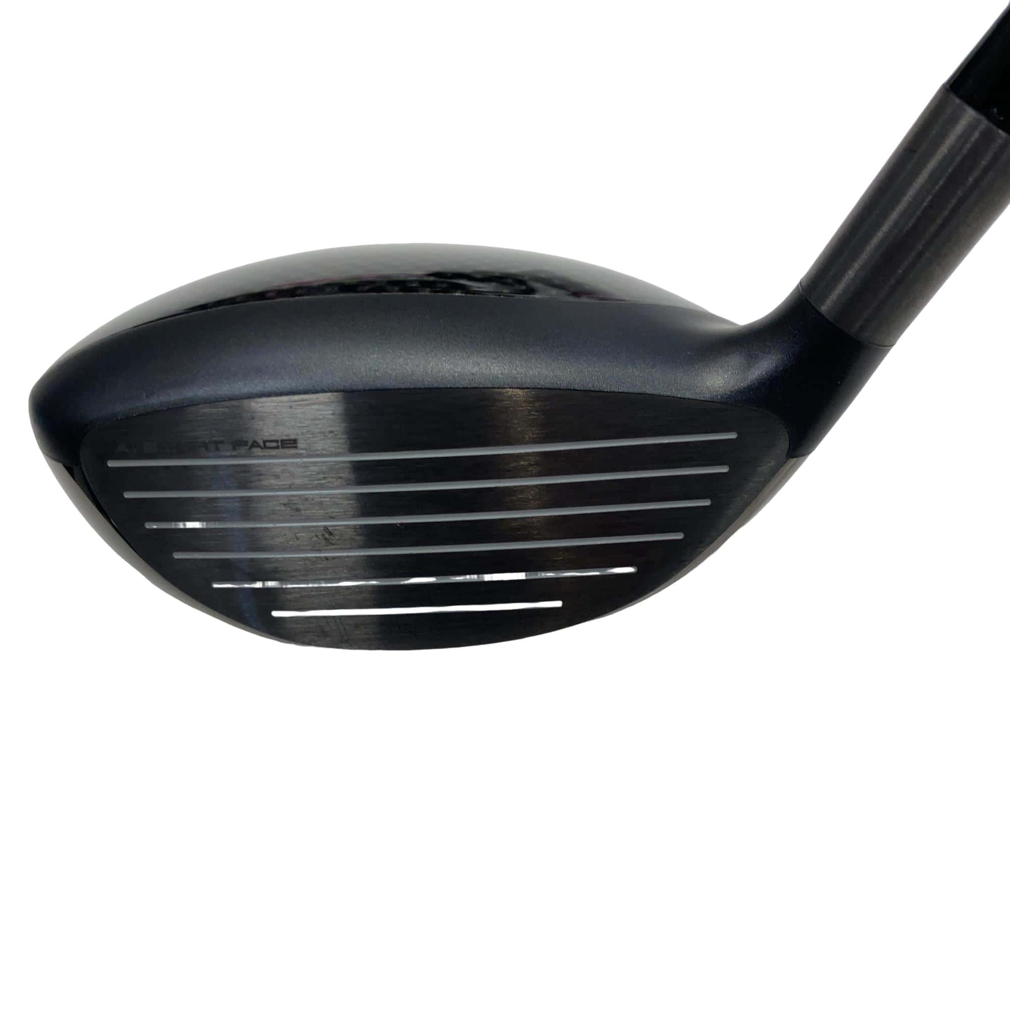 �o�`�q�`�c�x�l�@�`���@�r�l�n�j�d�@�������@�T�v