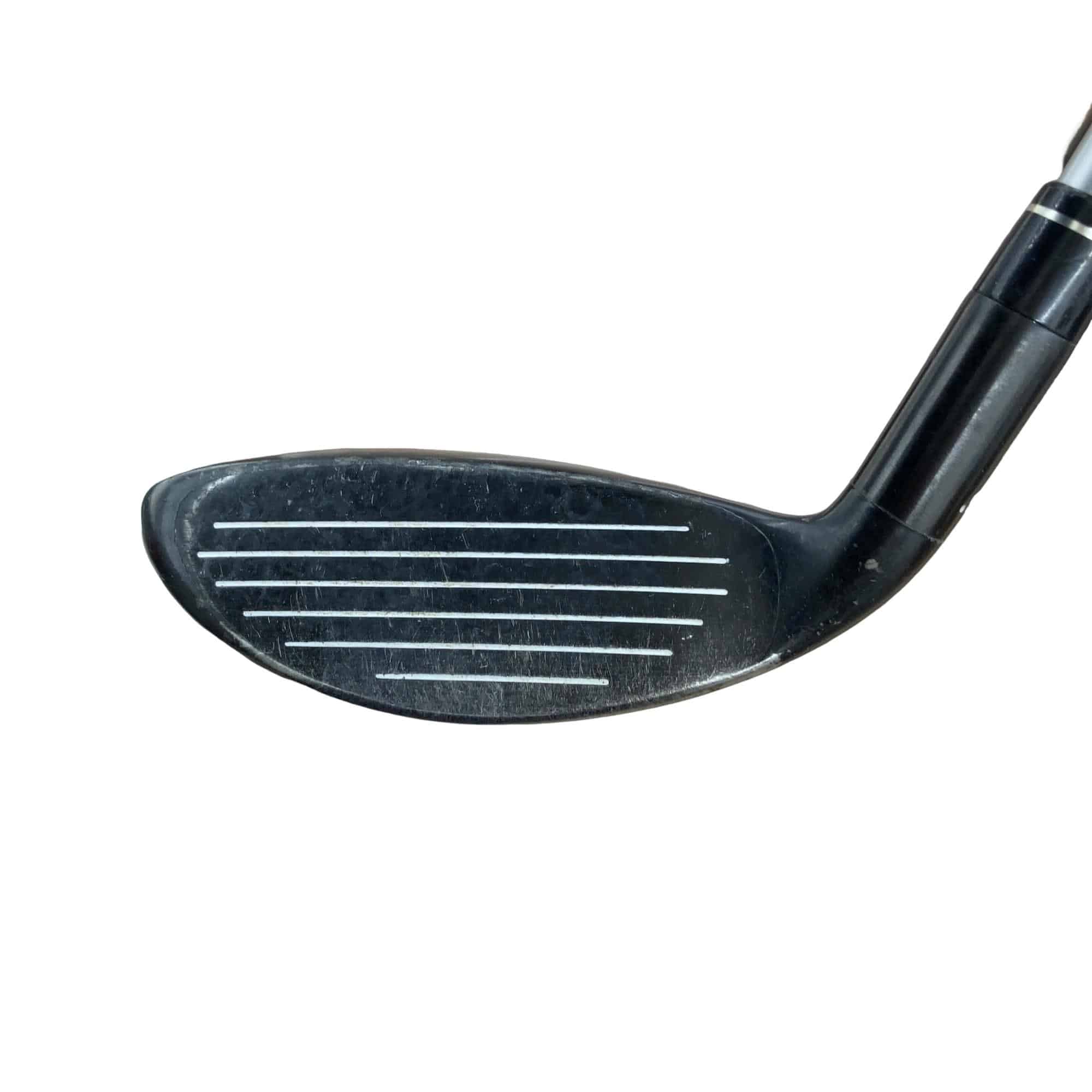 �w�@�g�n�s�@�t�T