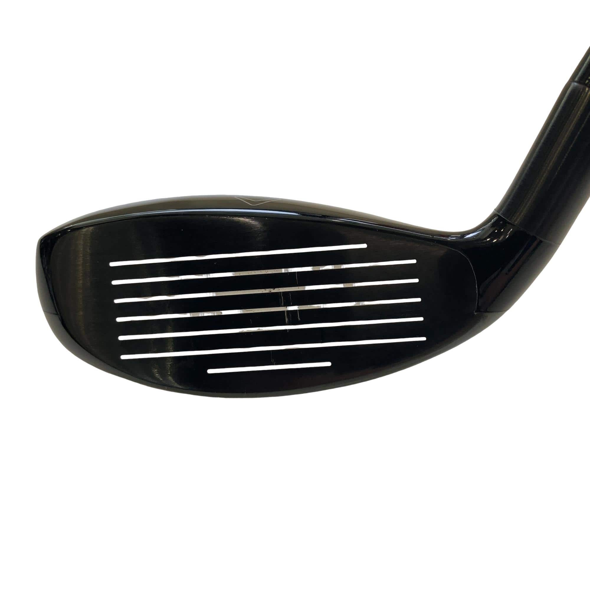 �w�Q�@�g�n�s�@�t�S