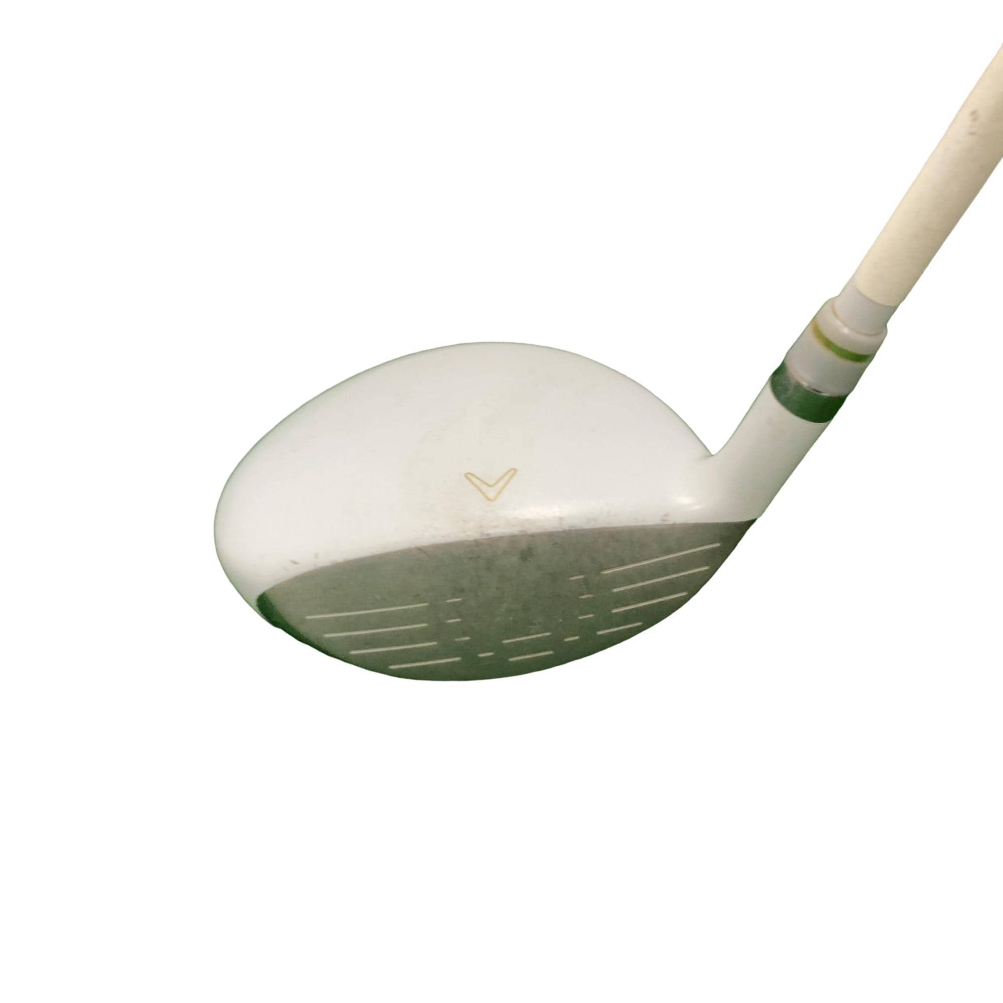 �����������i�Q�O�P�T�j�@�S�v�@���f�B�[�X